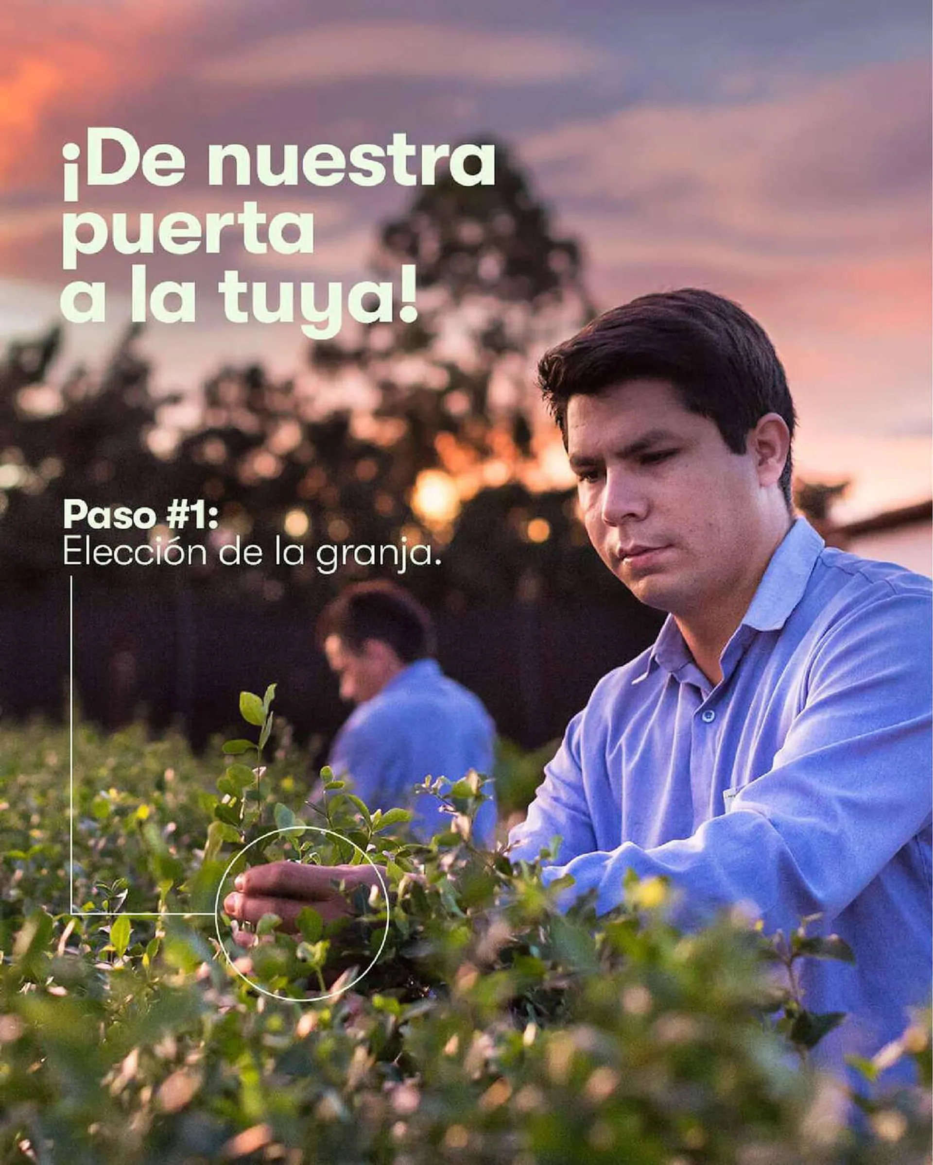 Catálogo Amway - 1