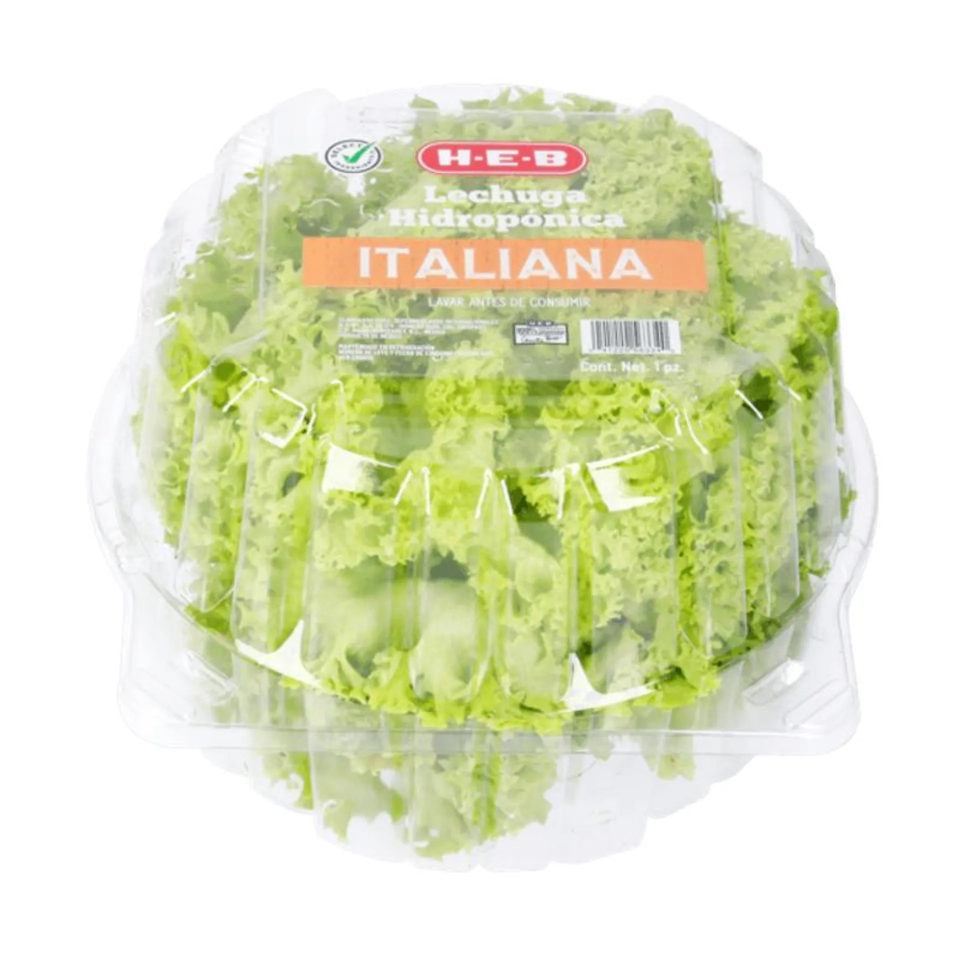 HEB Lechuga Italiana Hidropónica