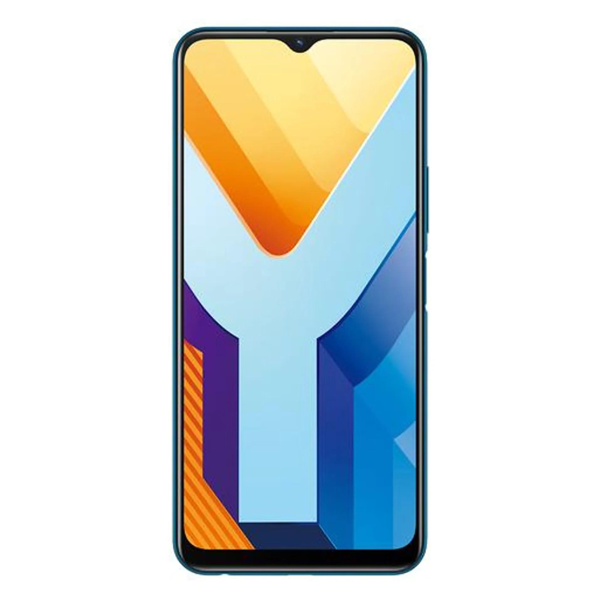 Y11s