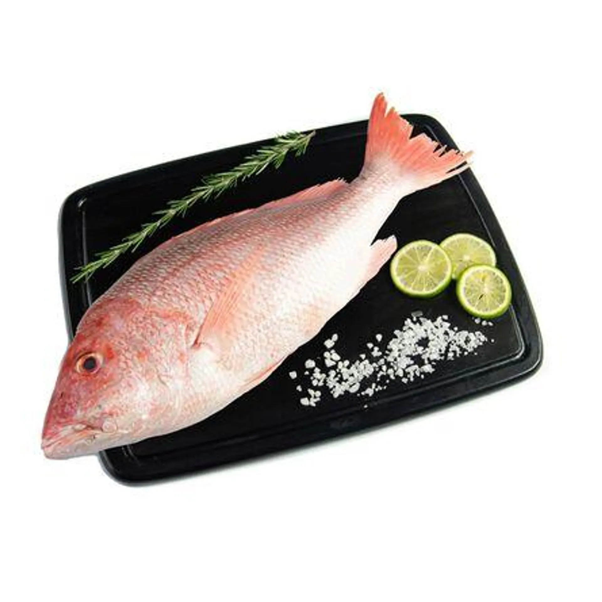 Pargo Huachinango Kg