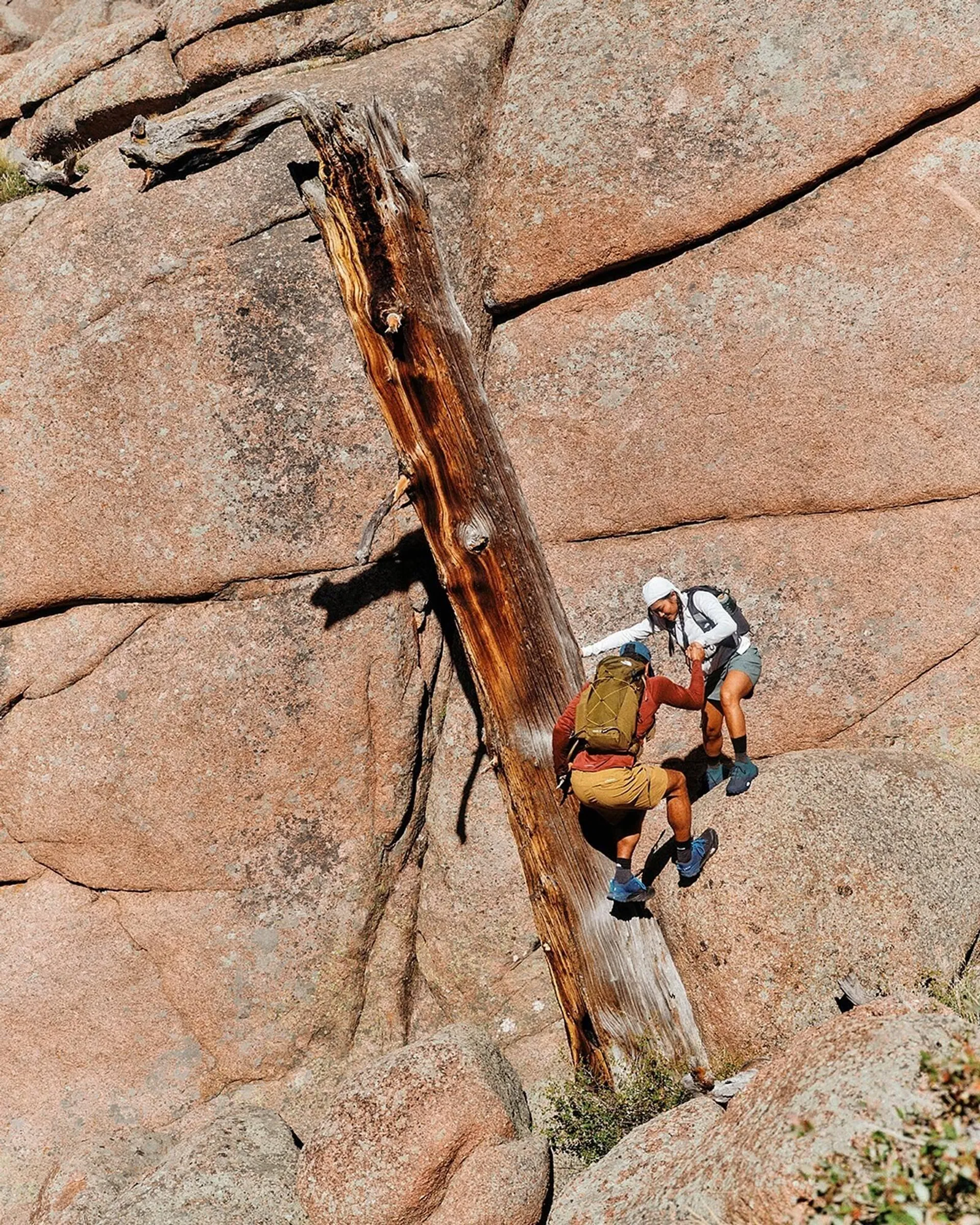 Catálogo de Catálogo The North Face 30 de mayo al 30 de junio 2025 - Pagina 4