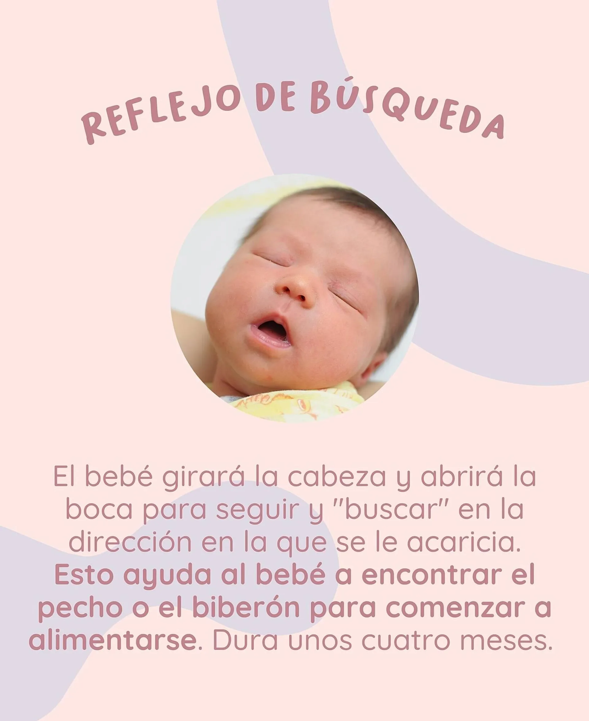 Catálogo de Catálogo Baby Mink 1 de octubre al 8 de octubre 2024 - Pagina 2