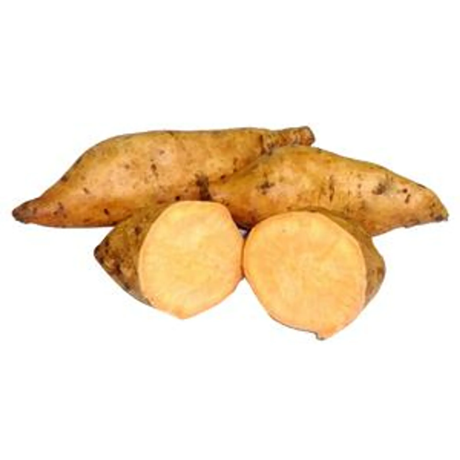 CAMOTE AMARILLO