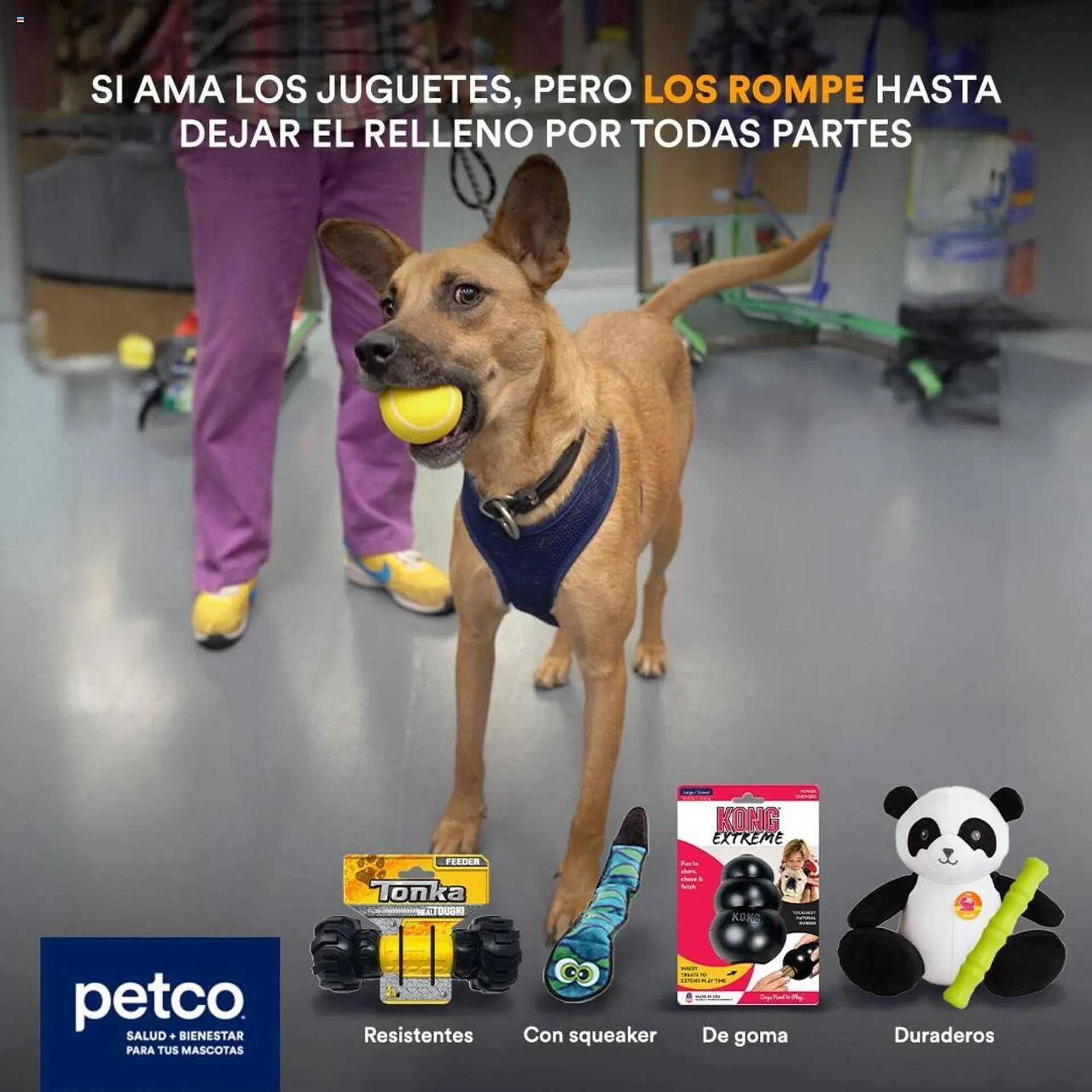 Catálogo Petco - 3