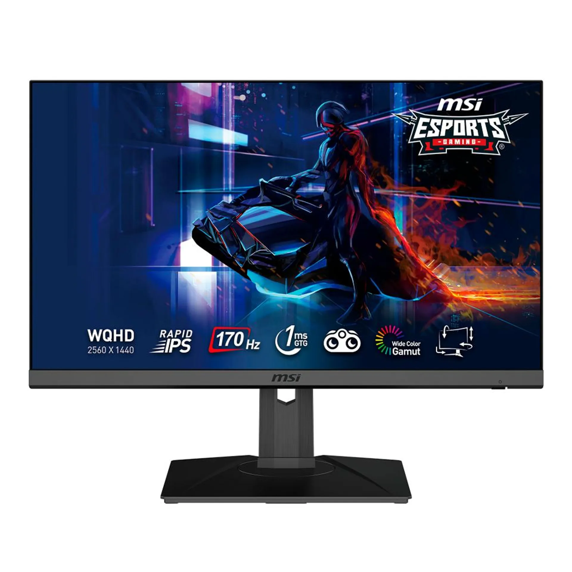 Monitor Gamer MSI G272QPF LED 27" / Quad HD / G-Sync / 170Hz / HDMI / Negro / G272QPF