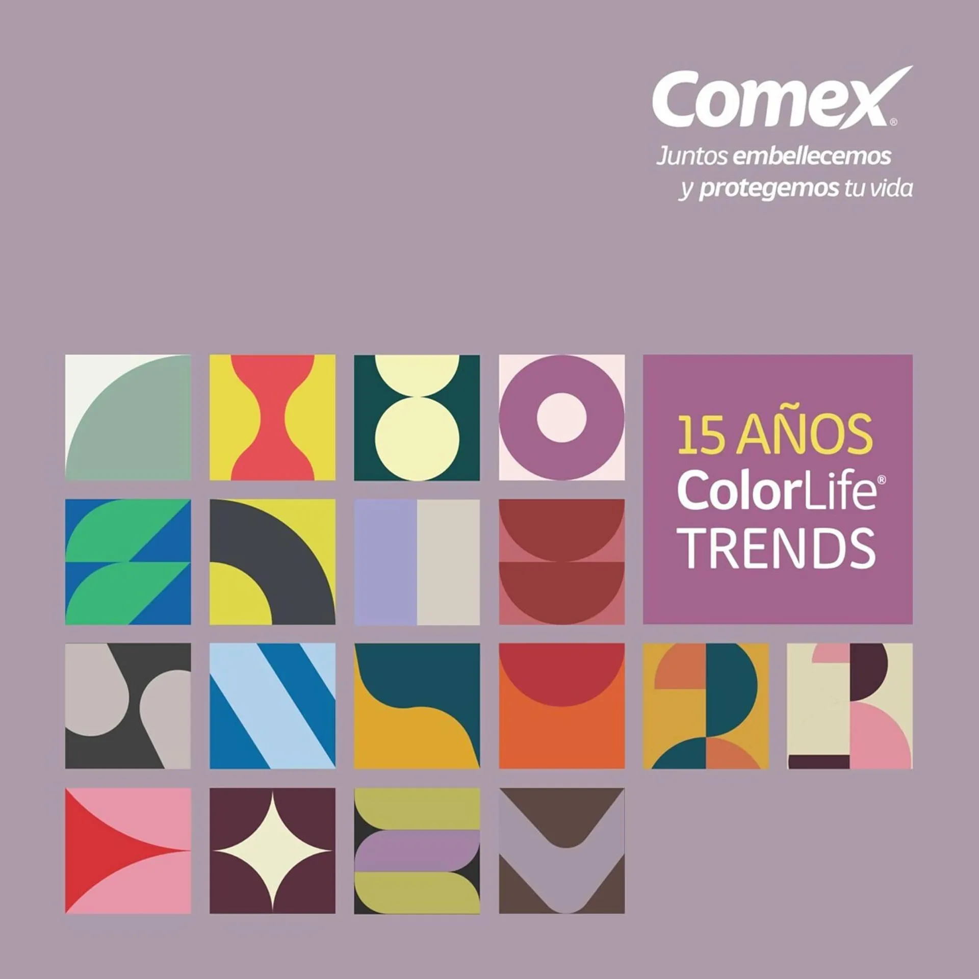Catálogo de Catálogo Comex 3 de septiembre al 31 de diciembre 2023 - Pagina 