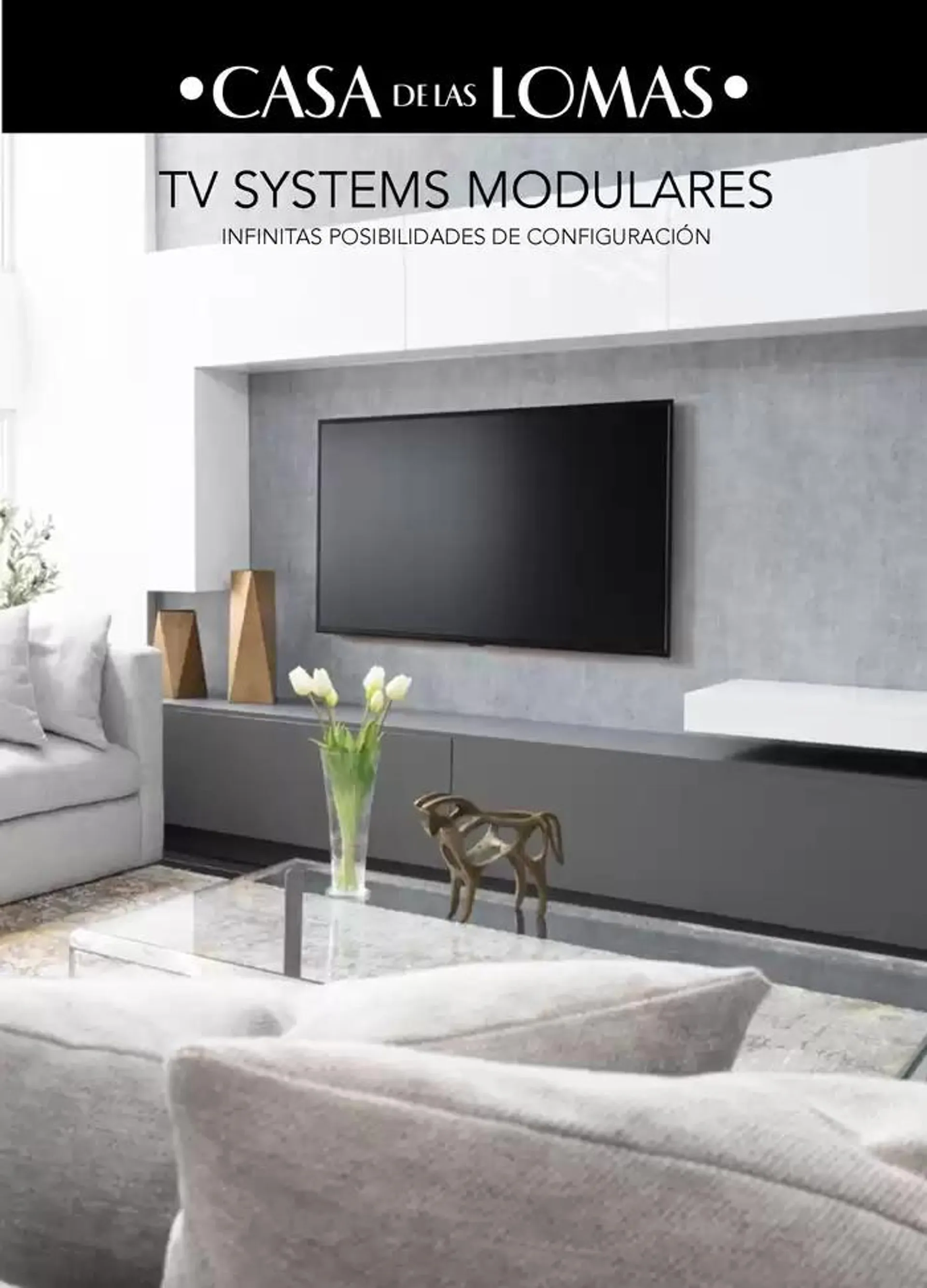 Catálogo Tv Systems Modulares - 1