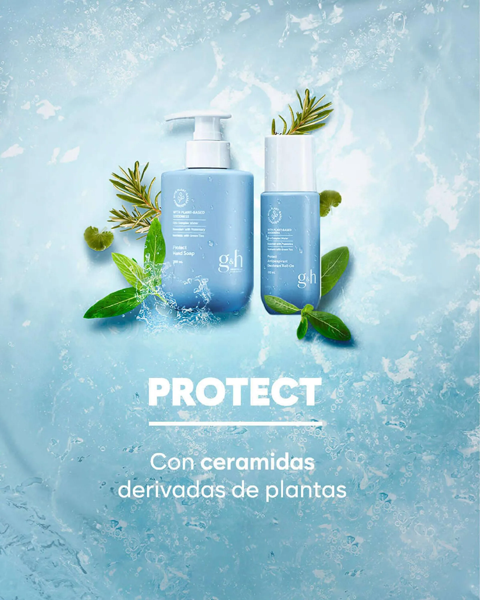 Catálogo de Catálogo Amway 7 de diciembre al 27 de diciembre 2023 - Pagina 4