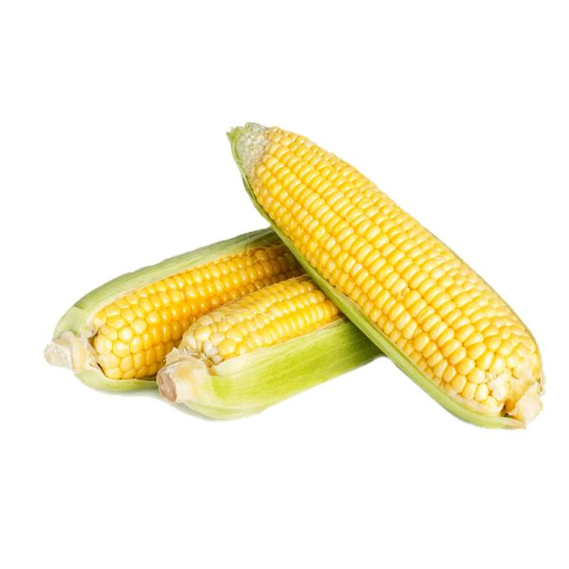 Elote pieza