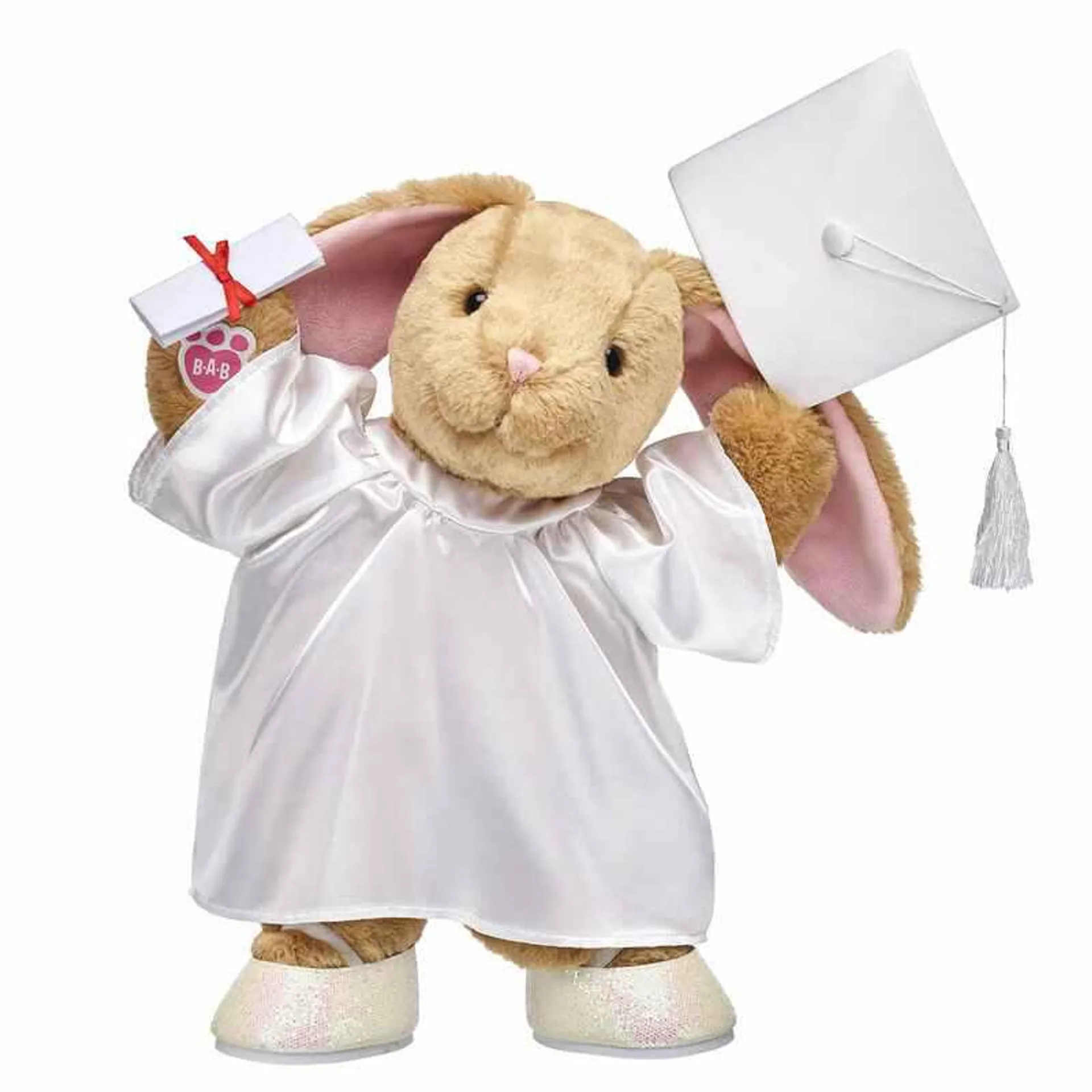 Record Your Voice Pawlette™ Bunny Plush Graduation Gift Set
