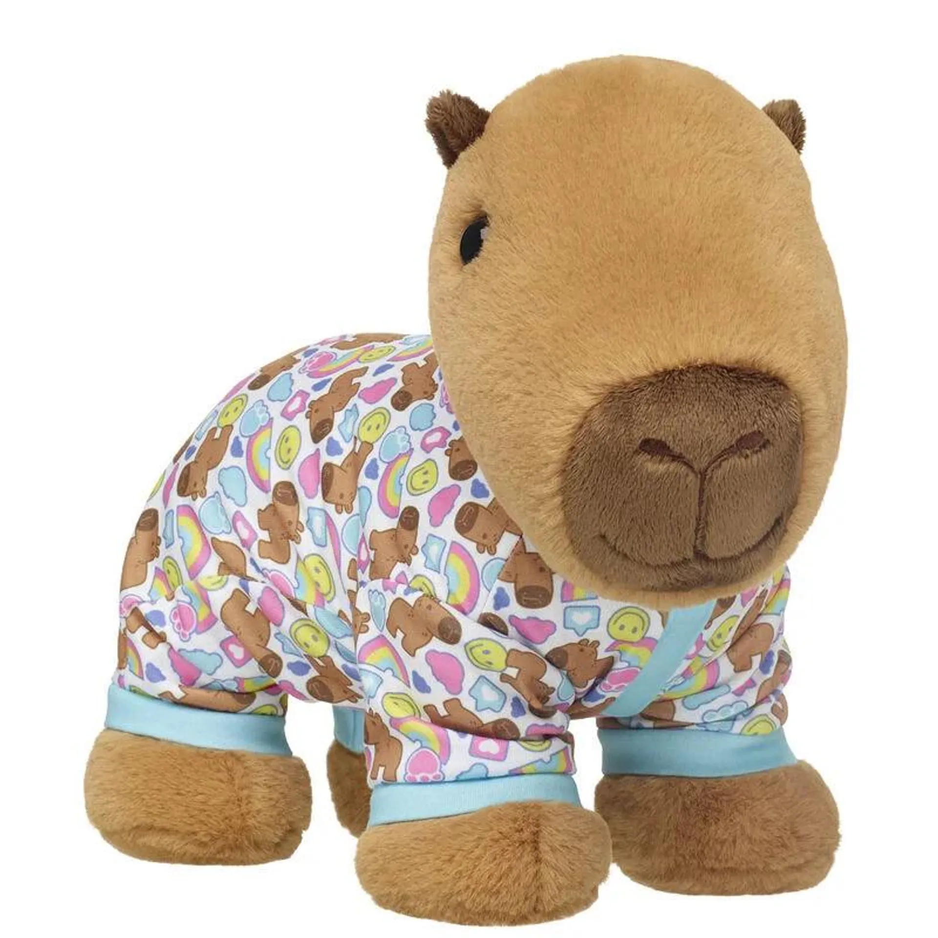 Capybara Stuffed Animal Gift Set