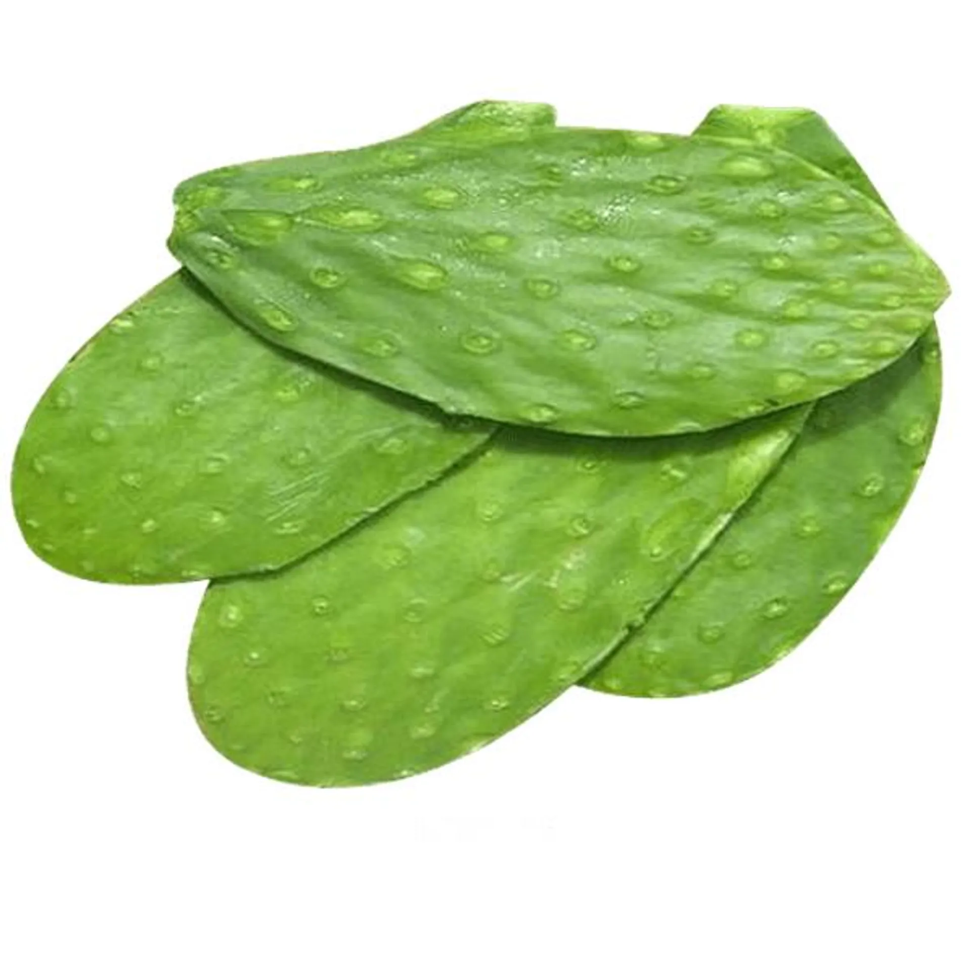 Nopalitos 500 g aproximado