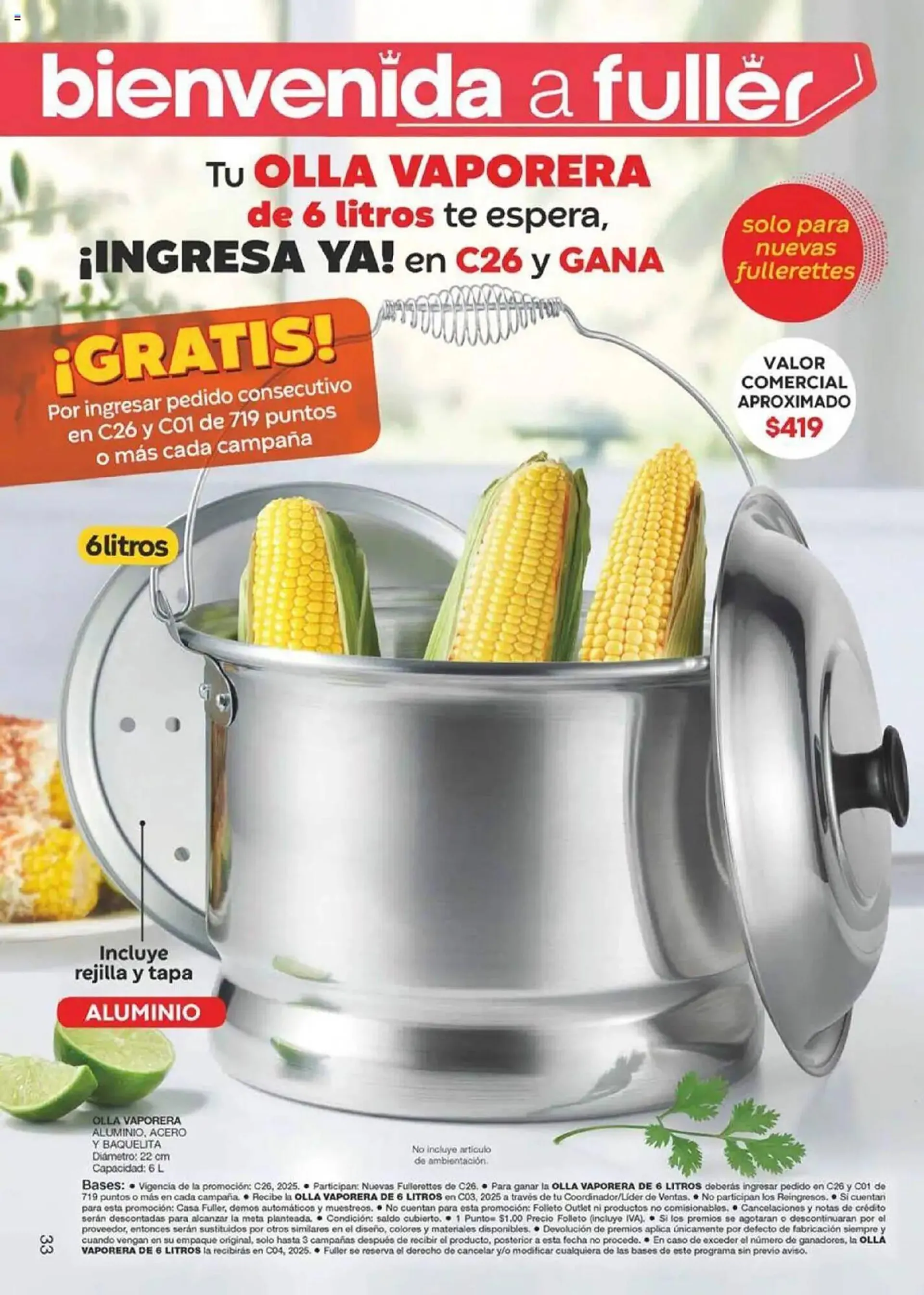 Catálogo de Catálogo Fuller 2 de abril al 22 de abril 2025 - Pagina 17