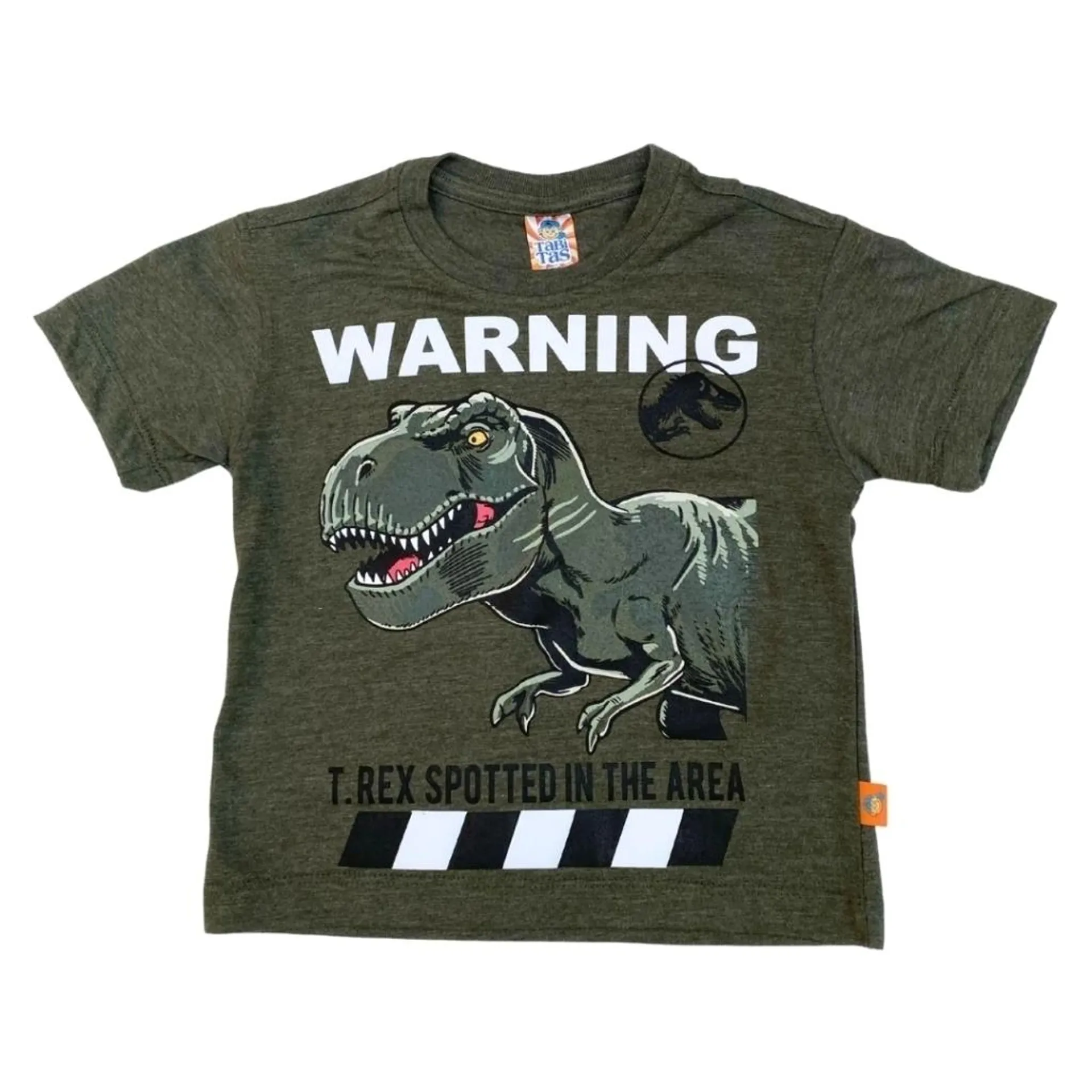 Conjunto: playera de diñosaurio y pantalón tipo cargo