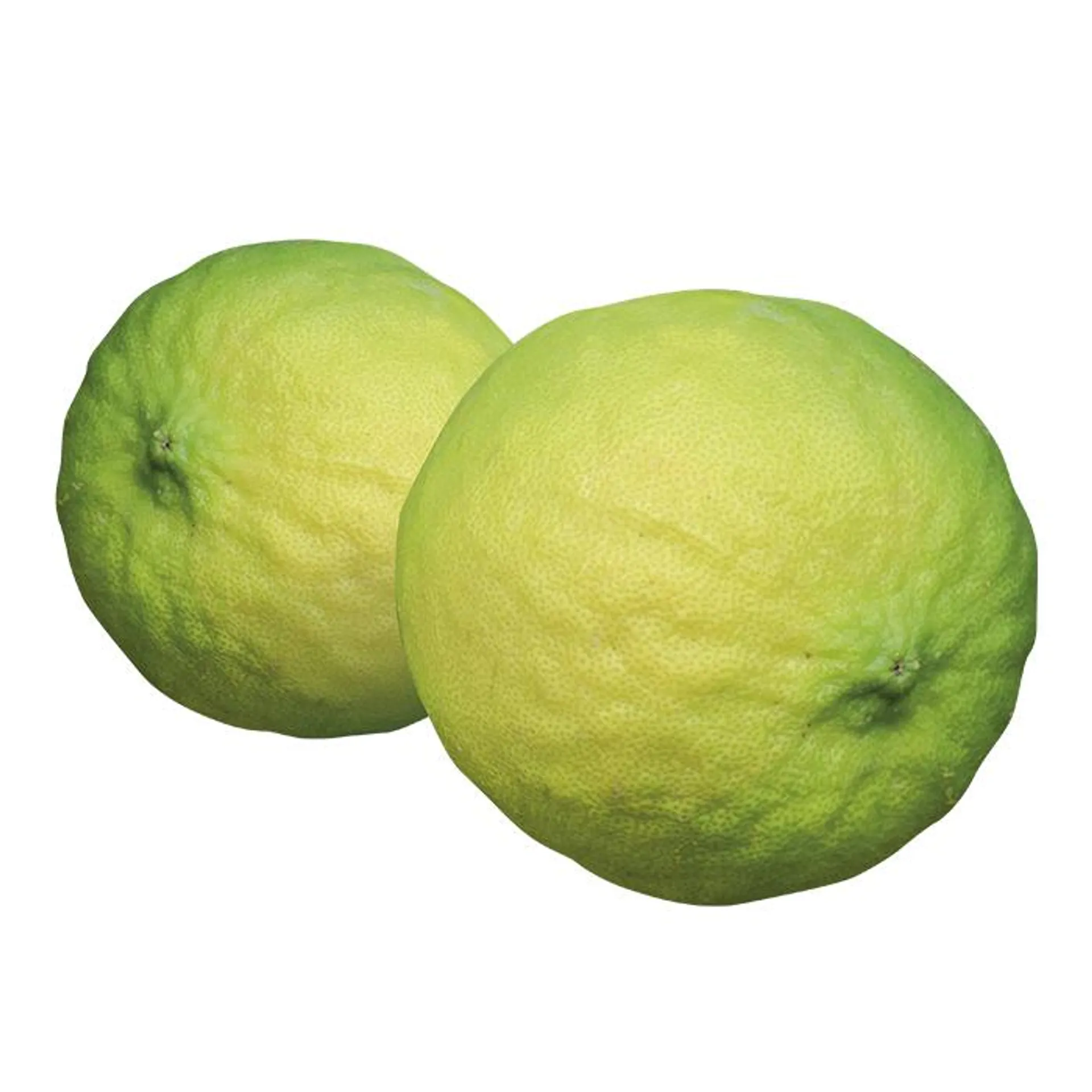 NARANJA AGRIA