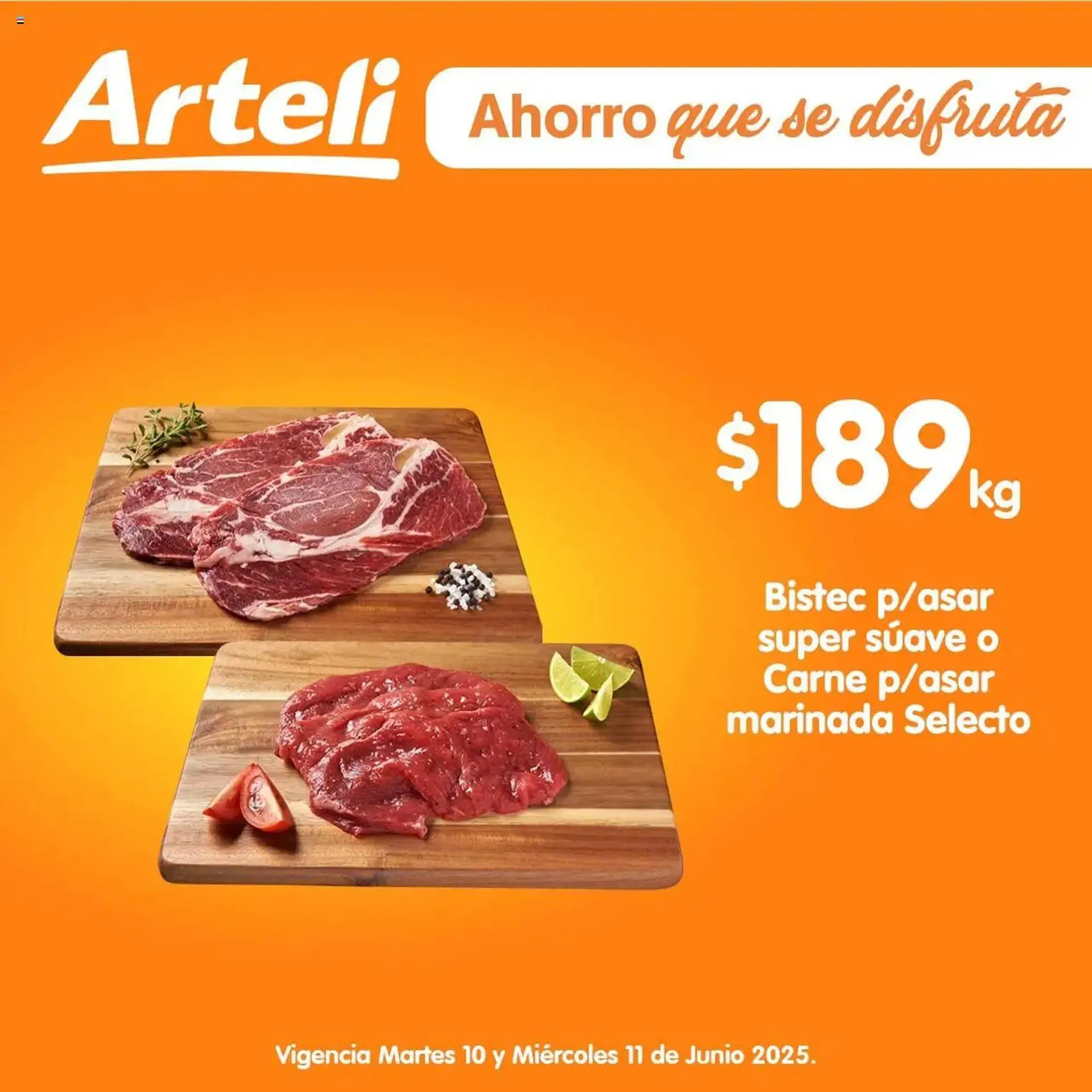 Catálogo Arteli - 1