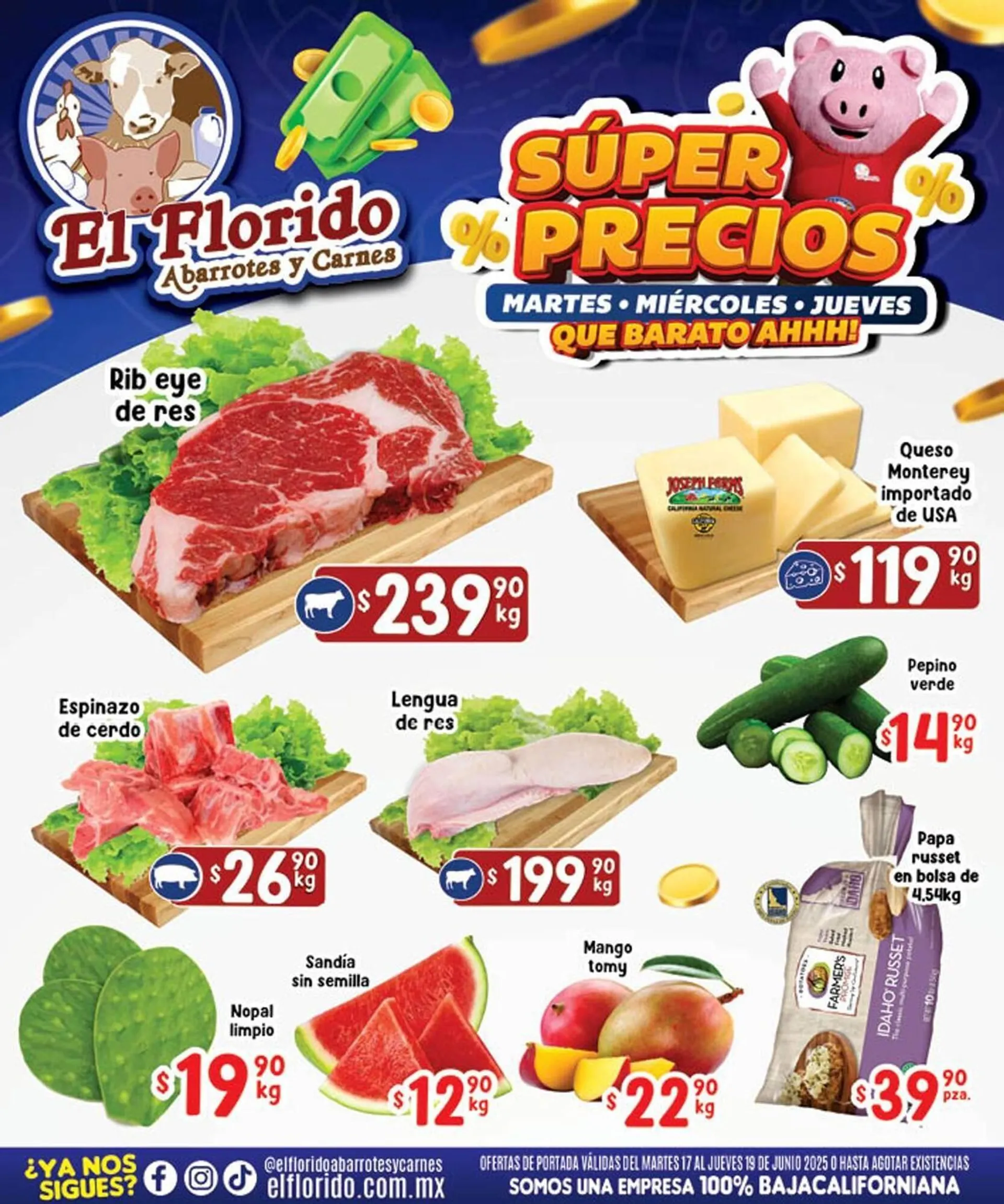 Catálogo El Florido - 1