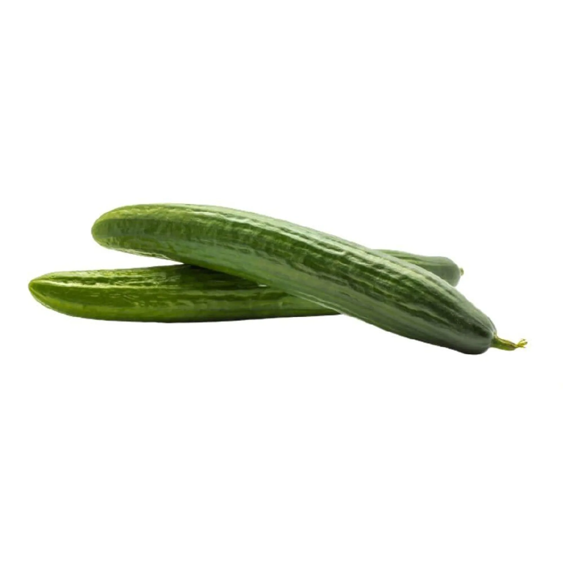 Pepino Europeo Kg