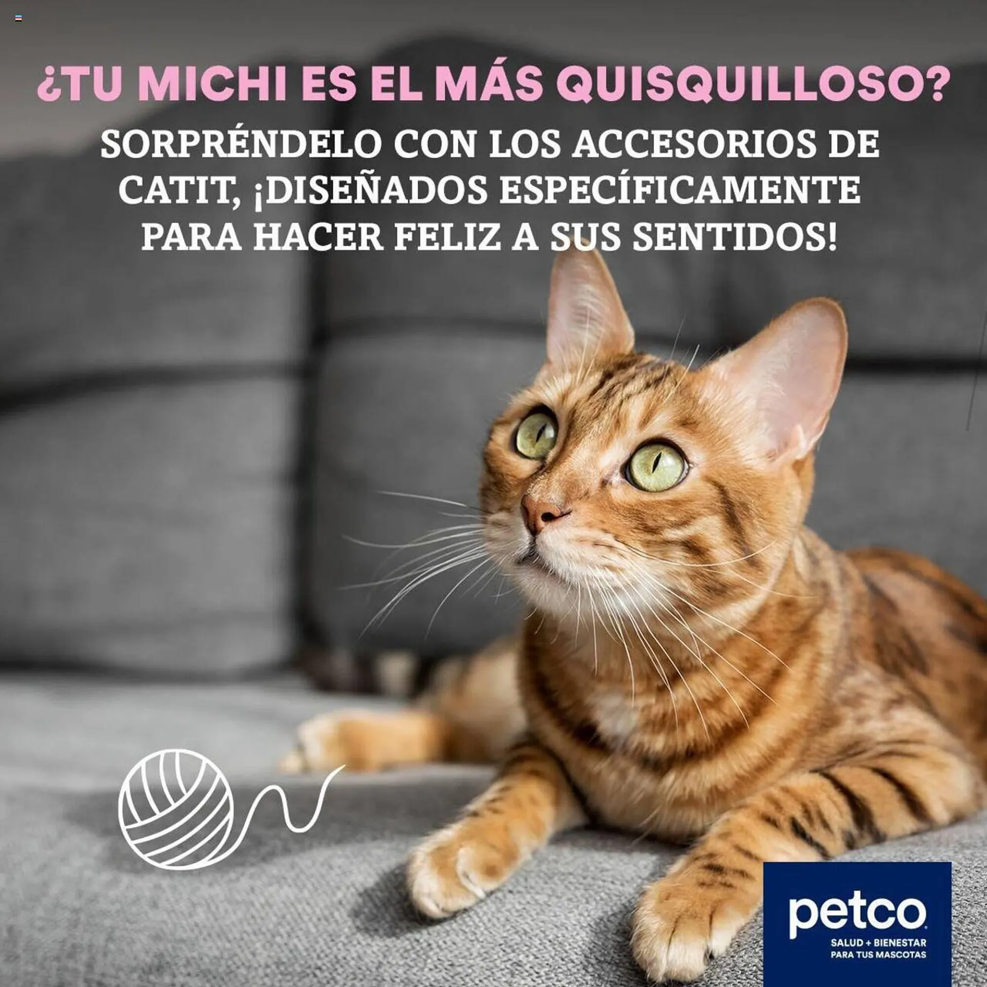 Catálogo Petco - 1