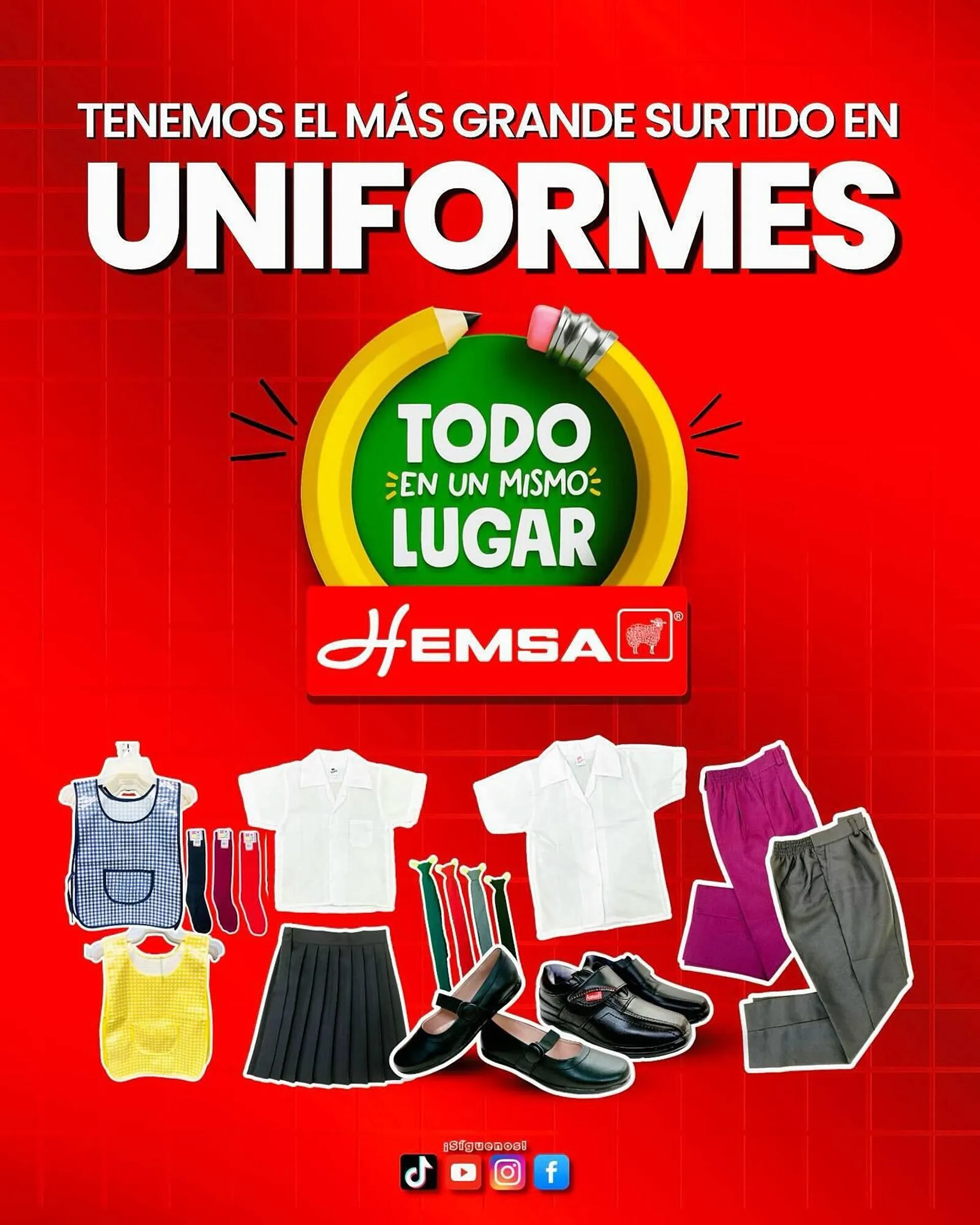 Catálogo Hemsa - 1