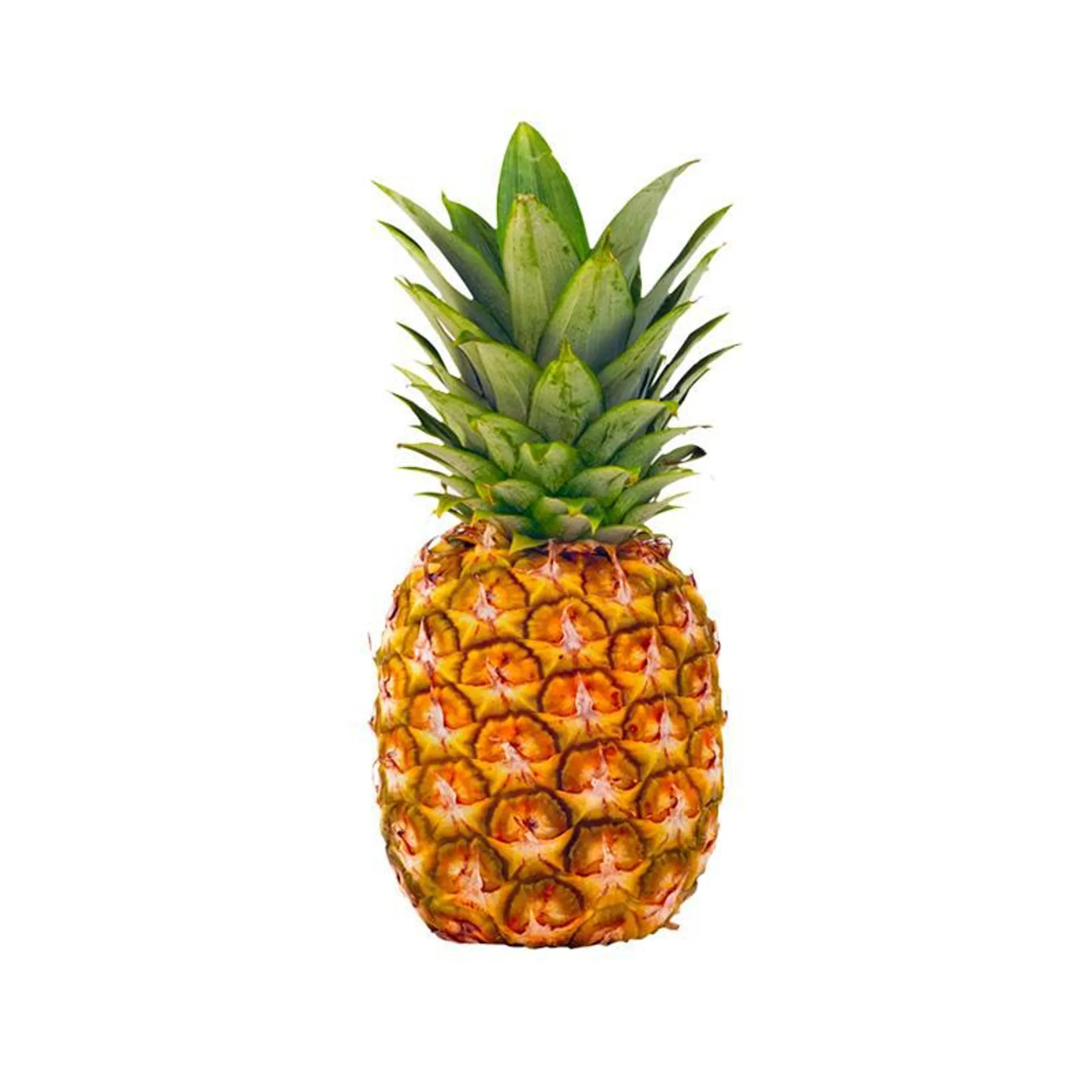 PINA MIEL
