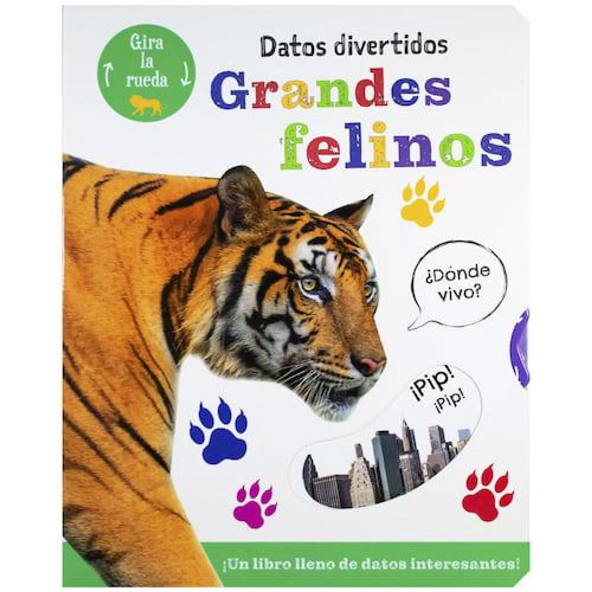 Datos divertidos: Grandes felinos