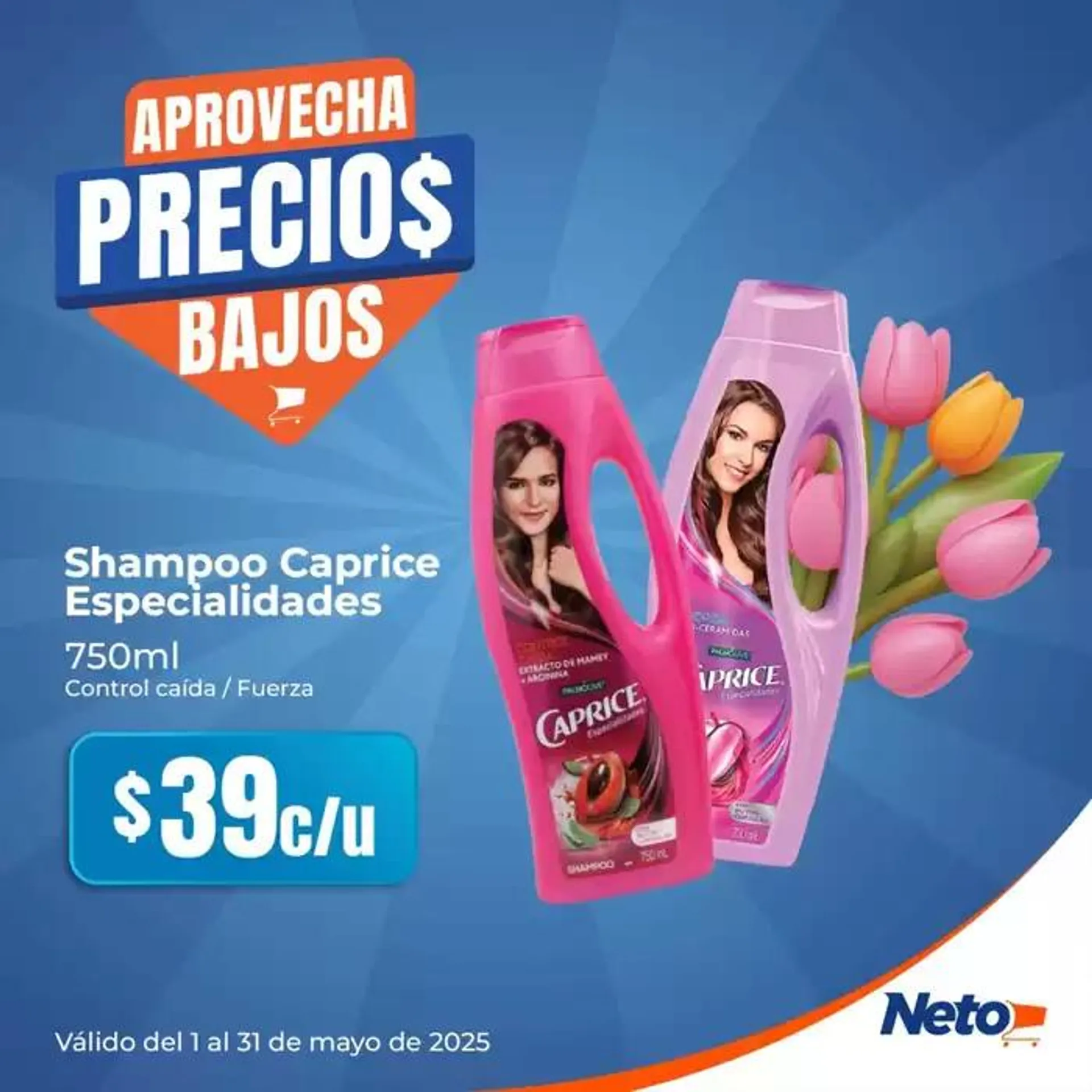 Catálogo de Ofertas principales y descuentos 1 de mayo al 31 de mayo 2025 - Pagina 3
