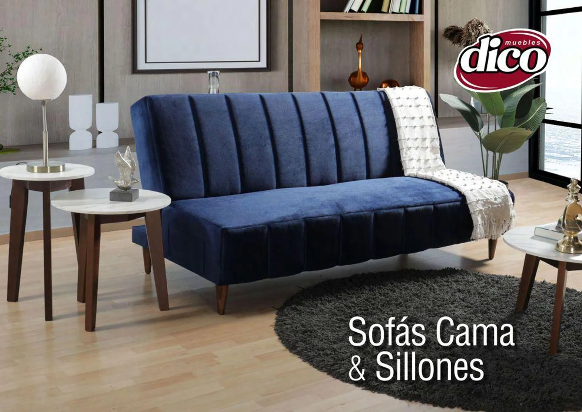 Muebles Dico Sofacama Y Sillones Centro 2024 - 1