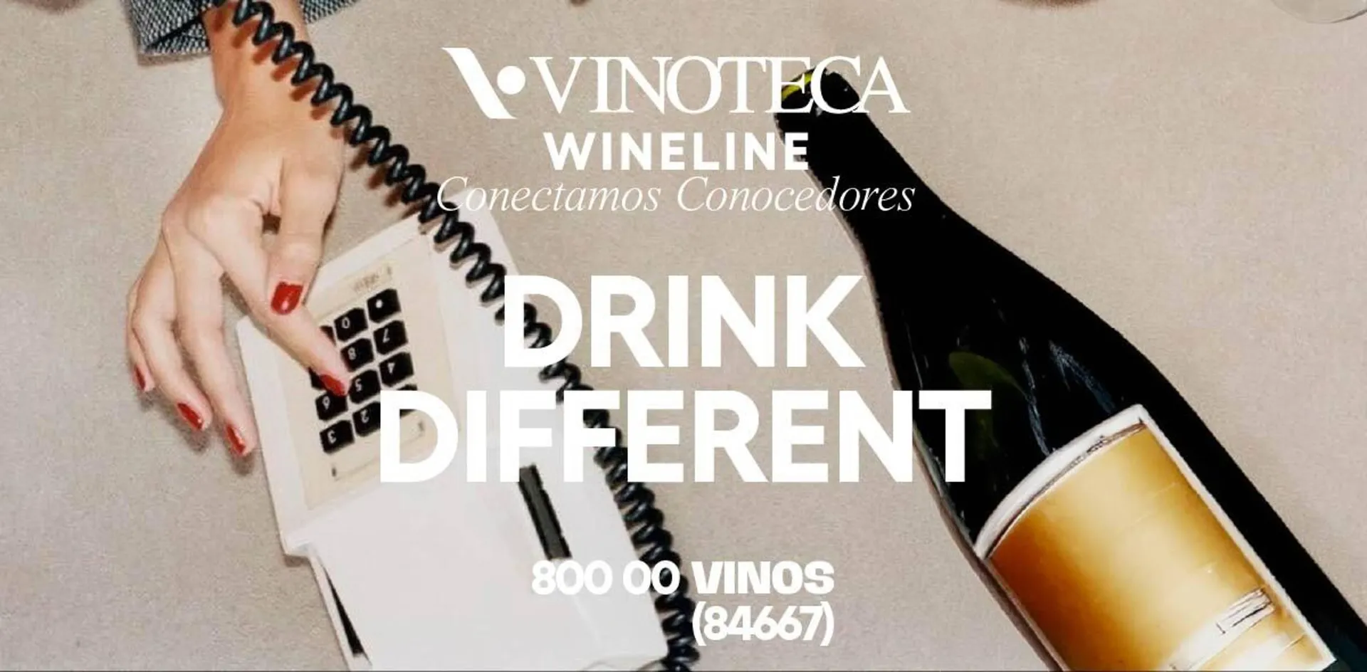 Catálogo Vinoteca - 1