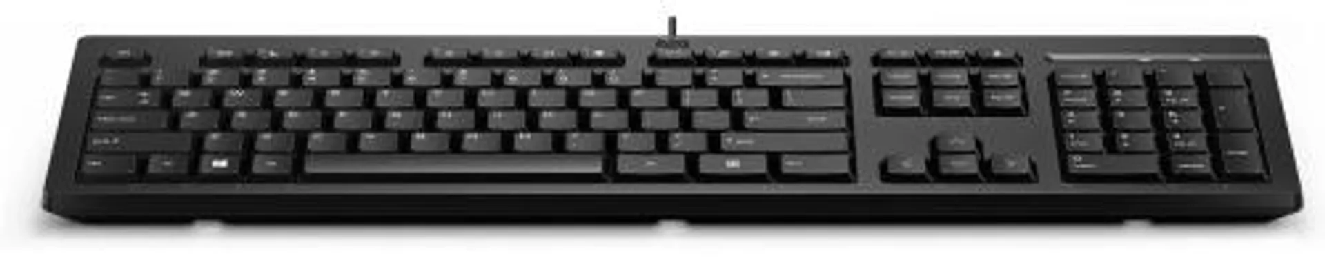 Teclado HP 125, Alámbrico, USB, Negro (Español)
