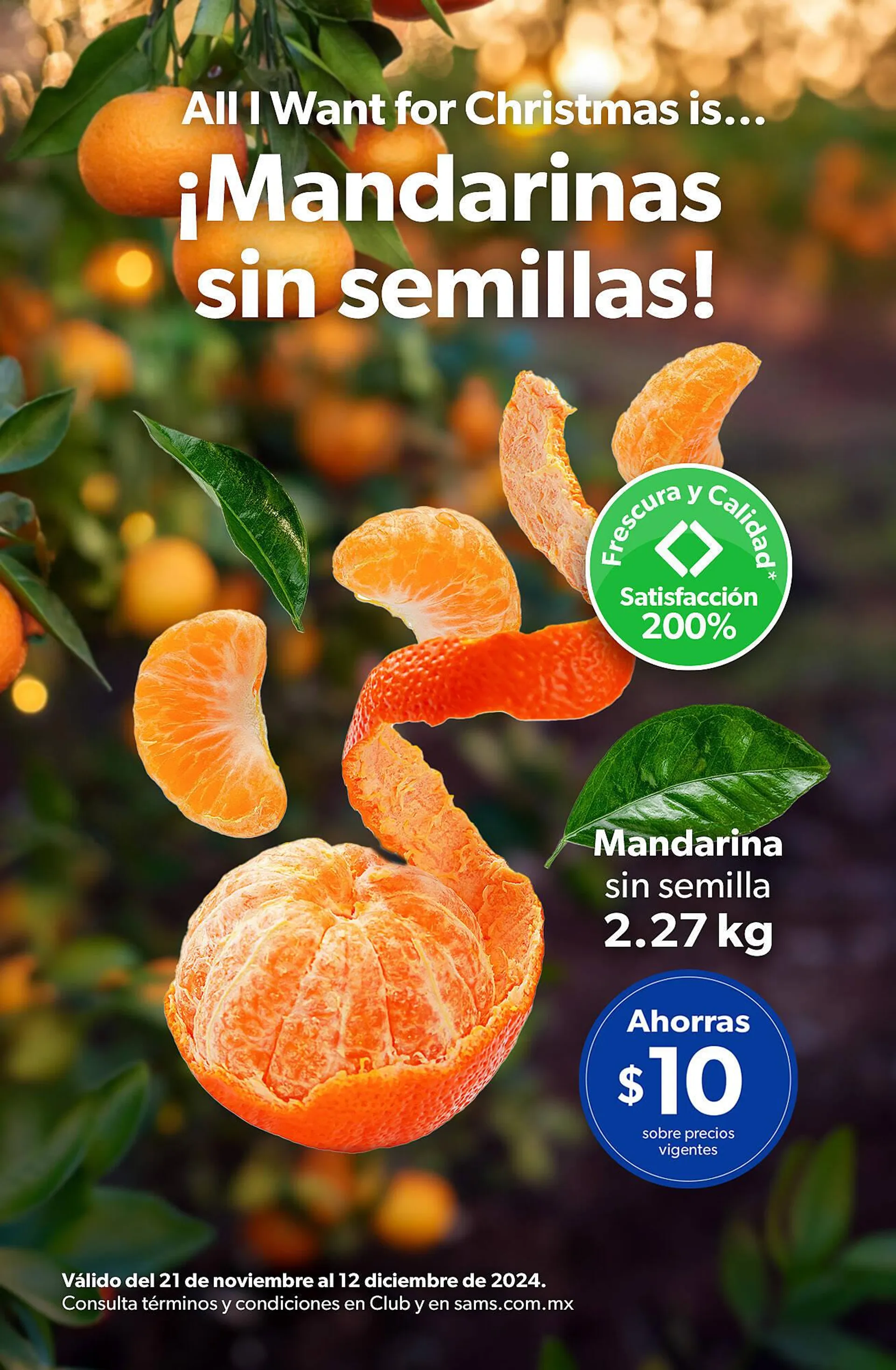 Catálogo de Catálogo Sam's Club 25 de noviembre al 12 de diciembre 2024 - Pagina 1