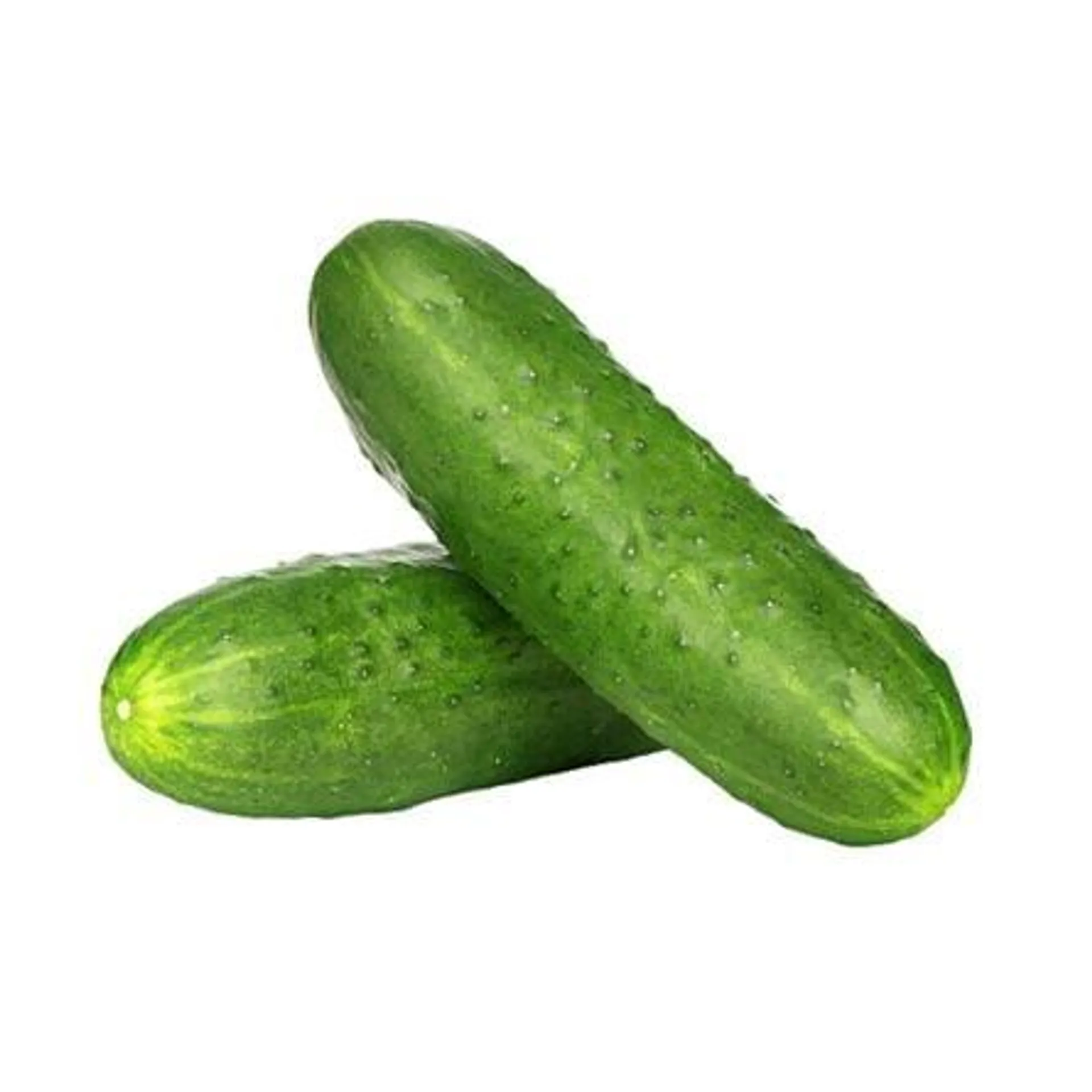 Pepino Verde Kg