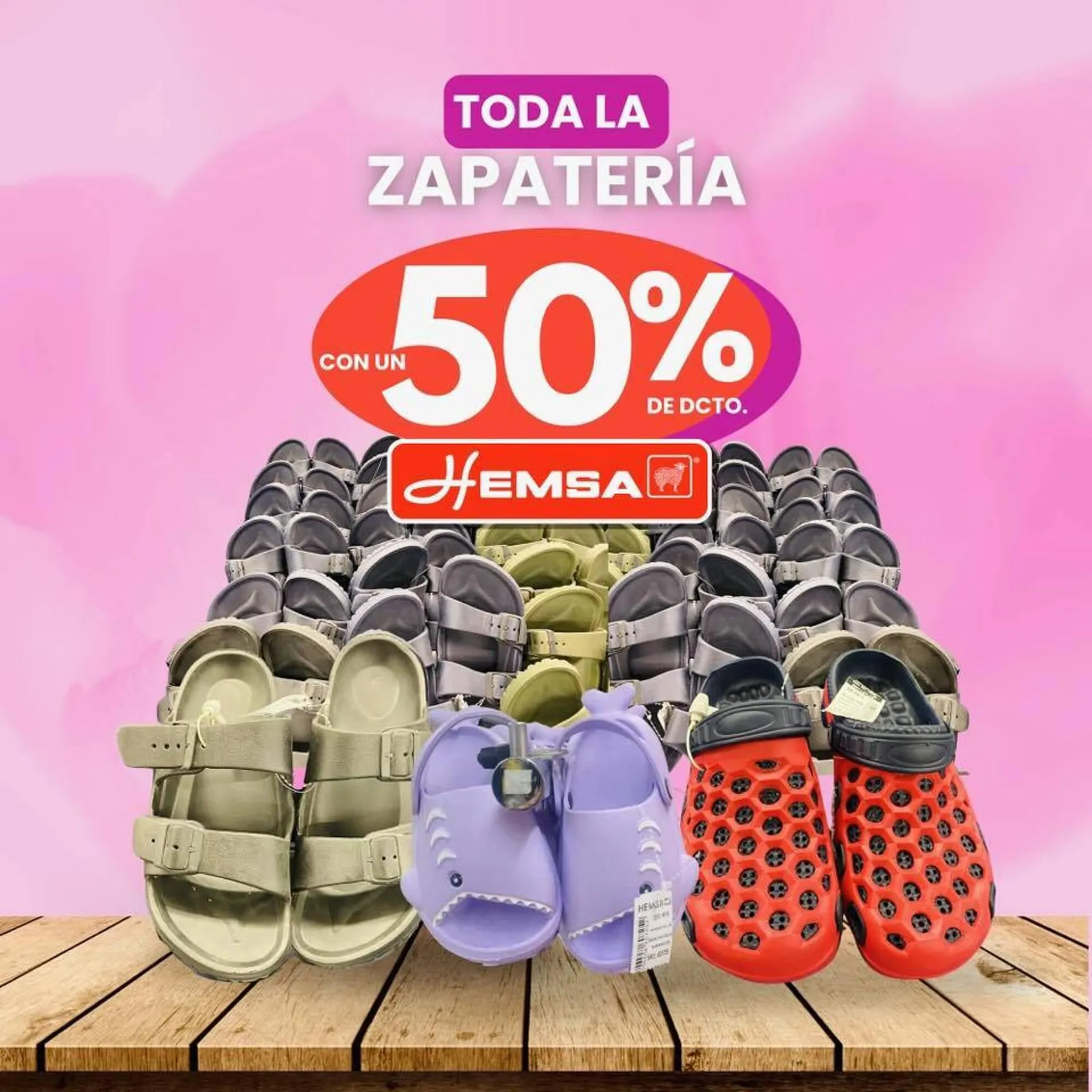Catálogo Hemsa - 1