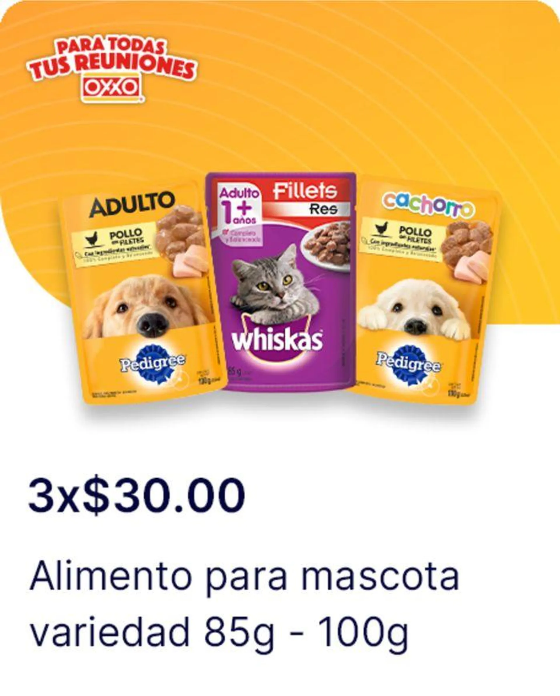 Ofertas OXXO - 24