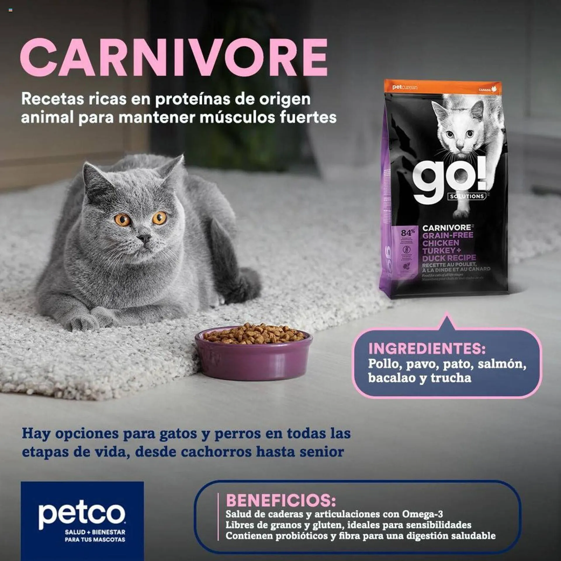 Catálogo de Catálogo Petco 9 de septiembre al 22 de septiembre 2024 - Pagina 2