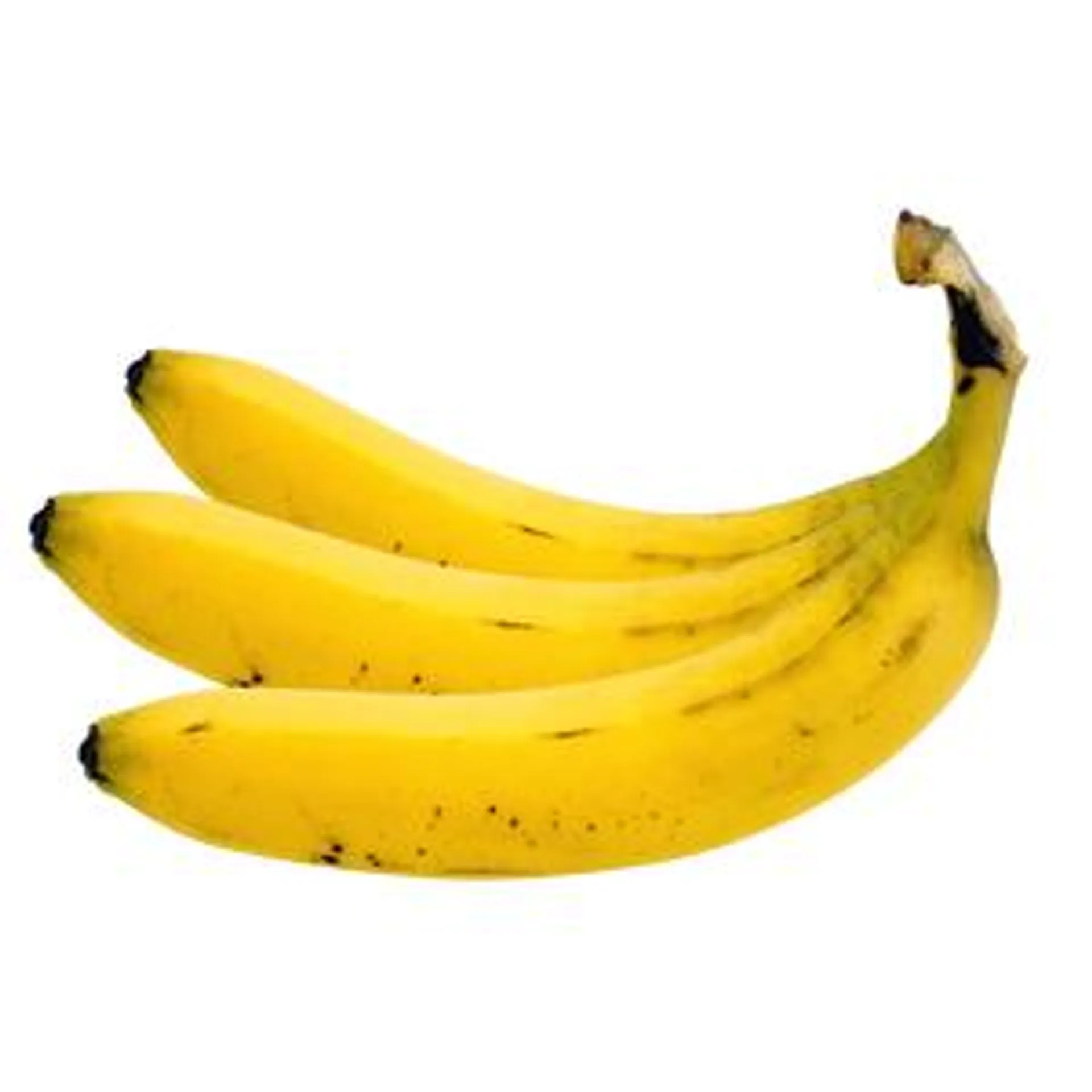 PLATANO MACHO