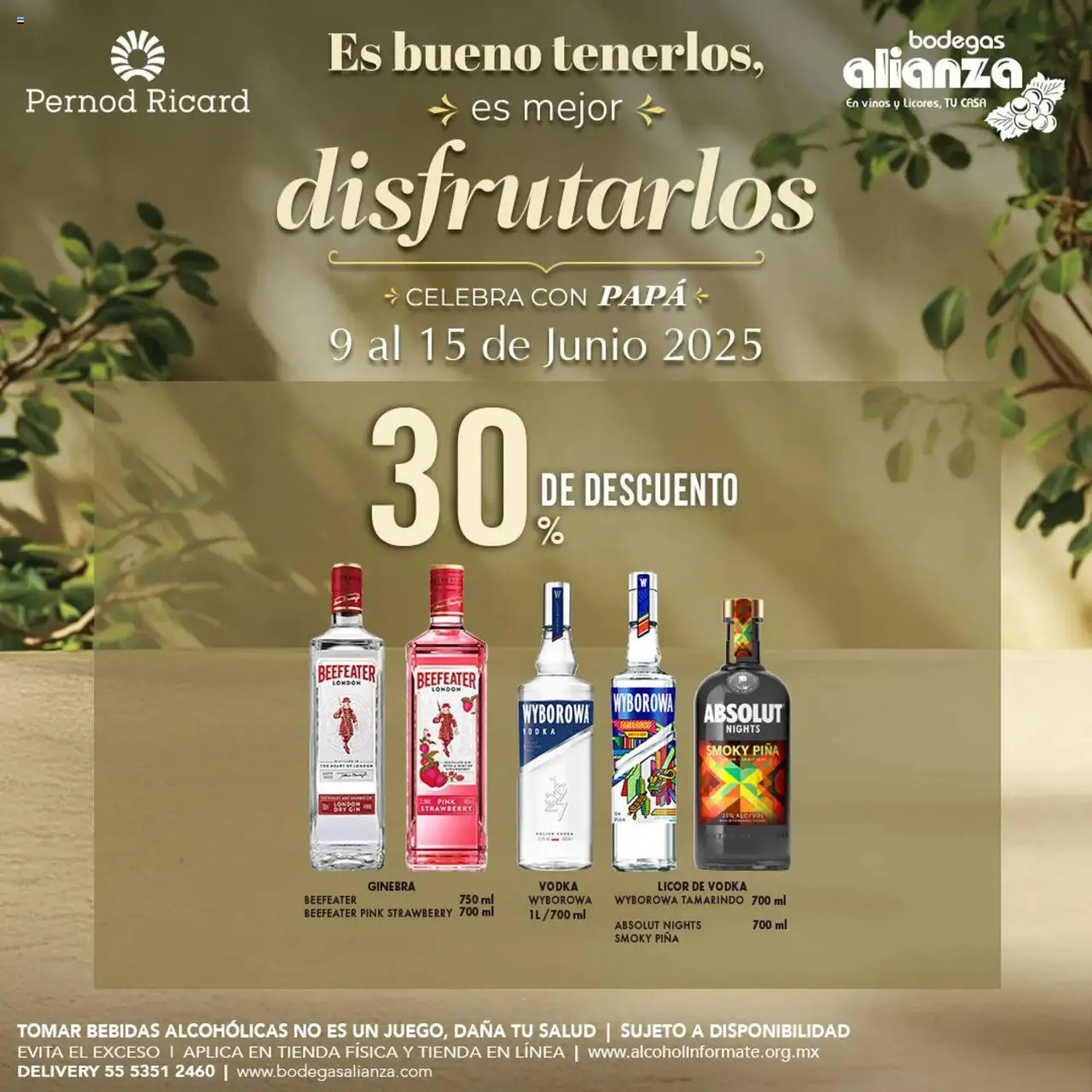 Catálogo de Catálogo Bodegas Alianza 9 de junio al 16 de junio 2025 - Pagina 3