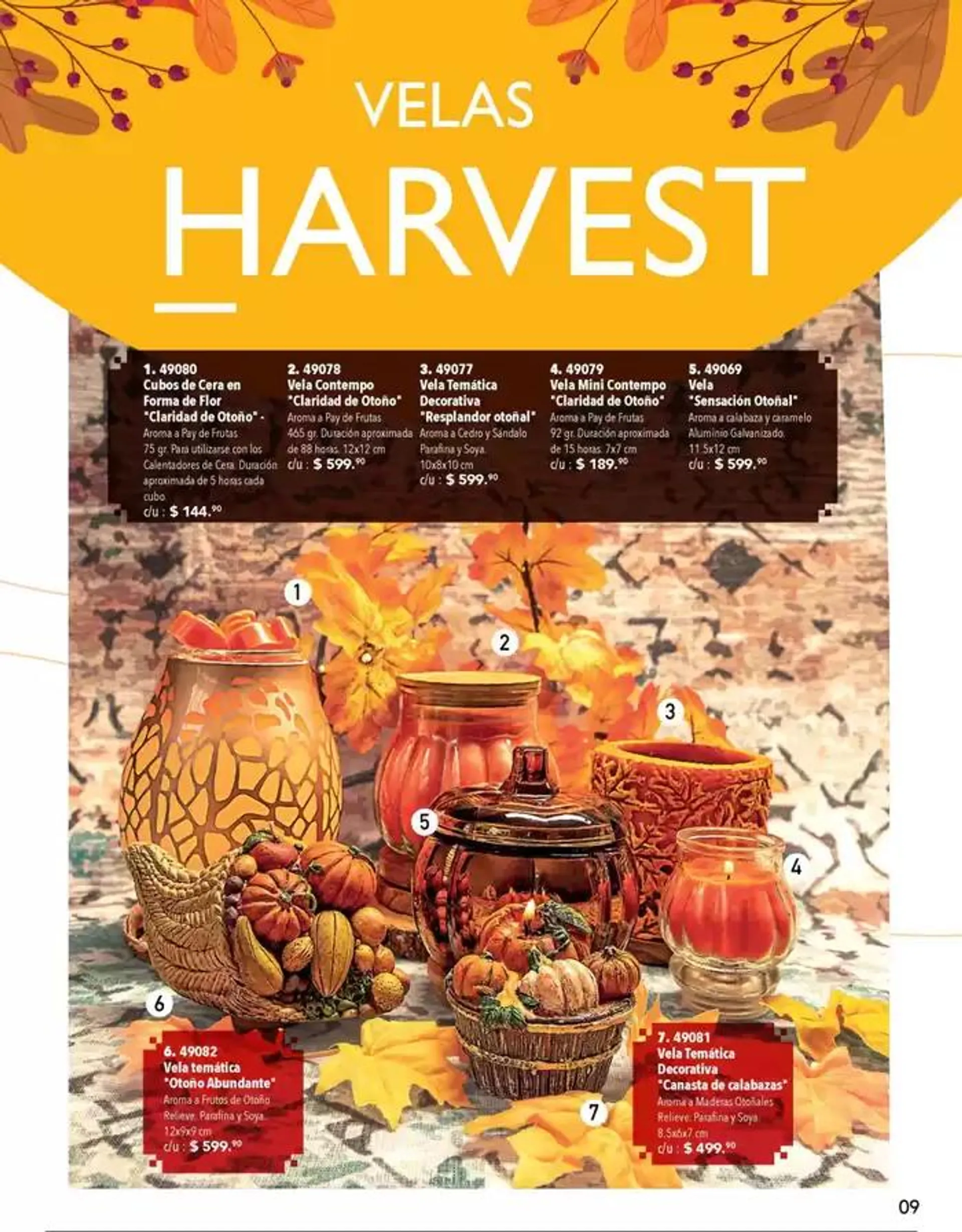 Catálogo de Colección Harvest 2024 8 de octubre al 31 de enero 2025 - Pagina 11