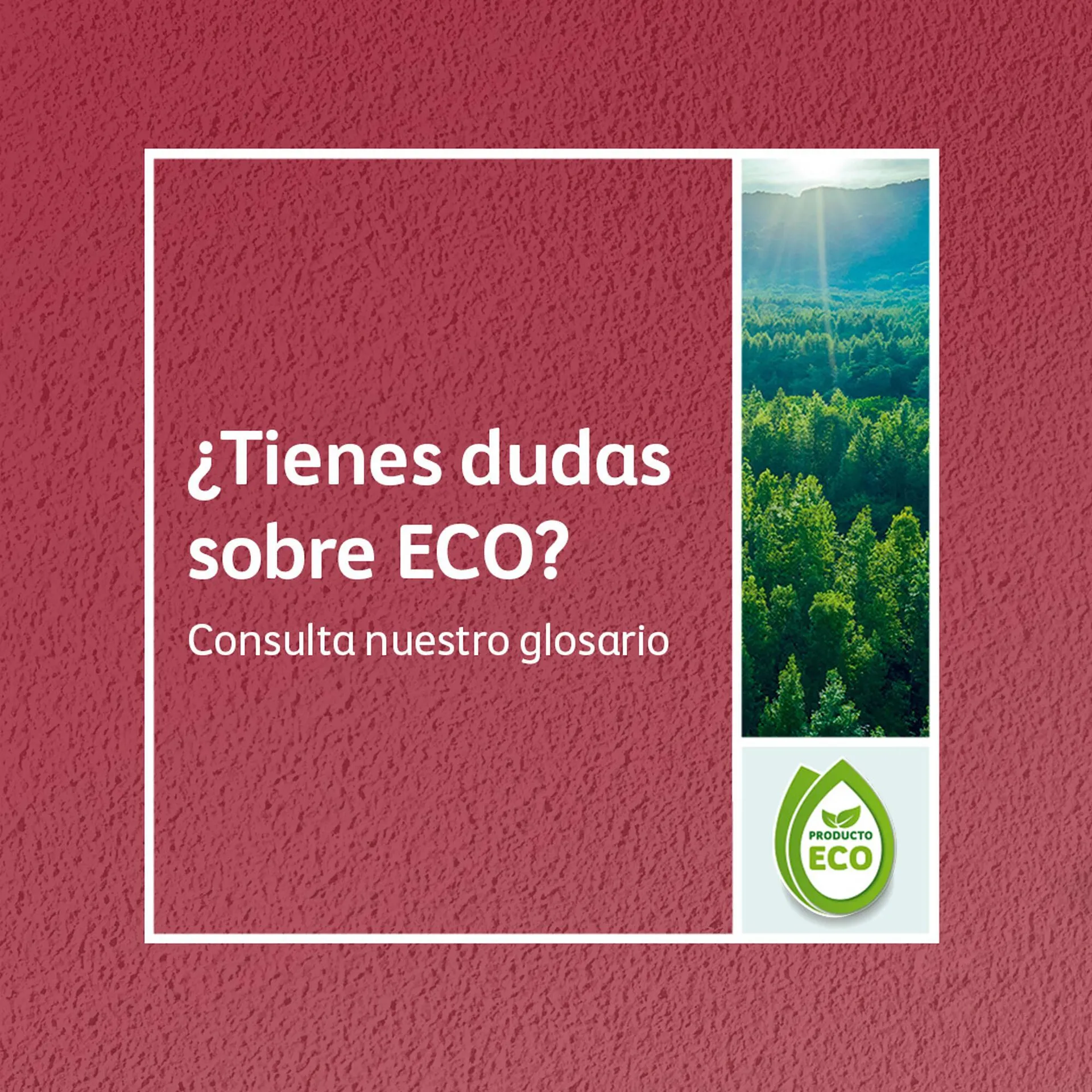 Catálogo Comex - 1