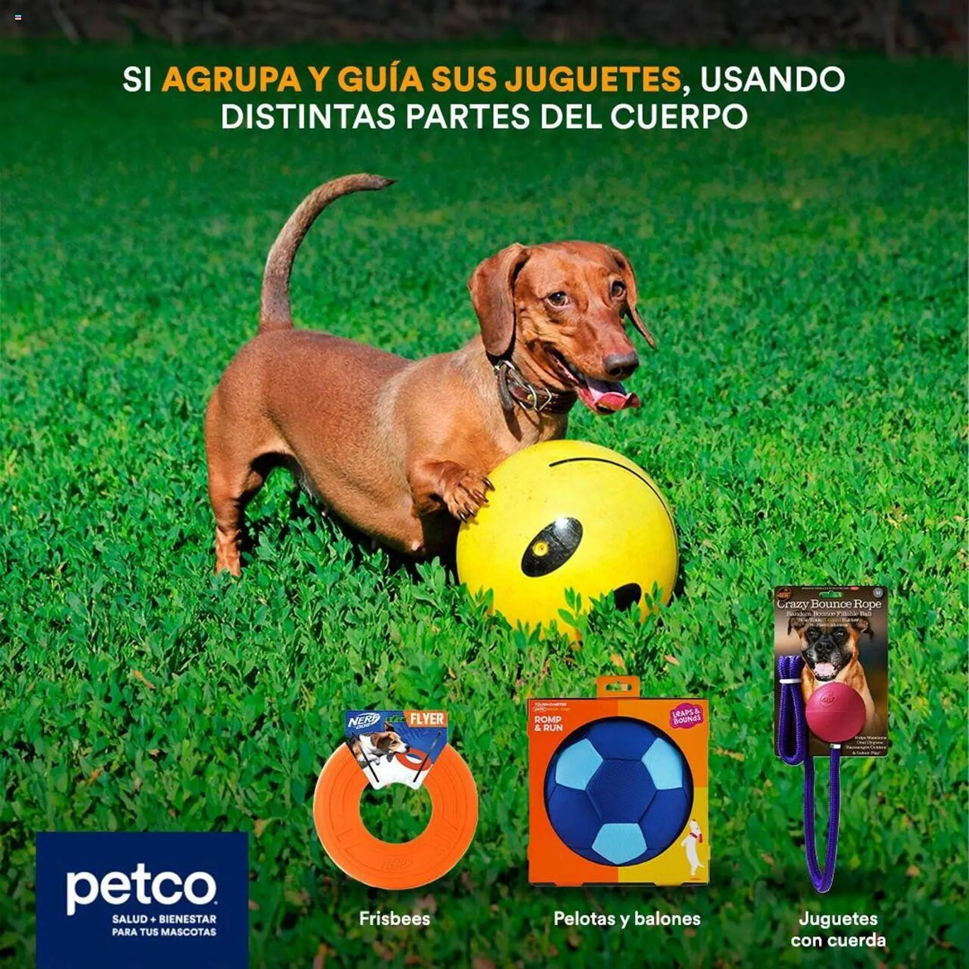 Catálogo Petco - 4