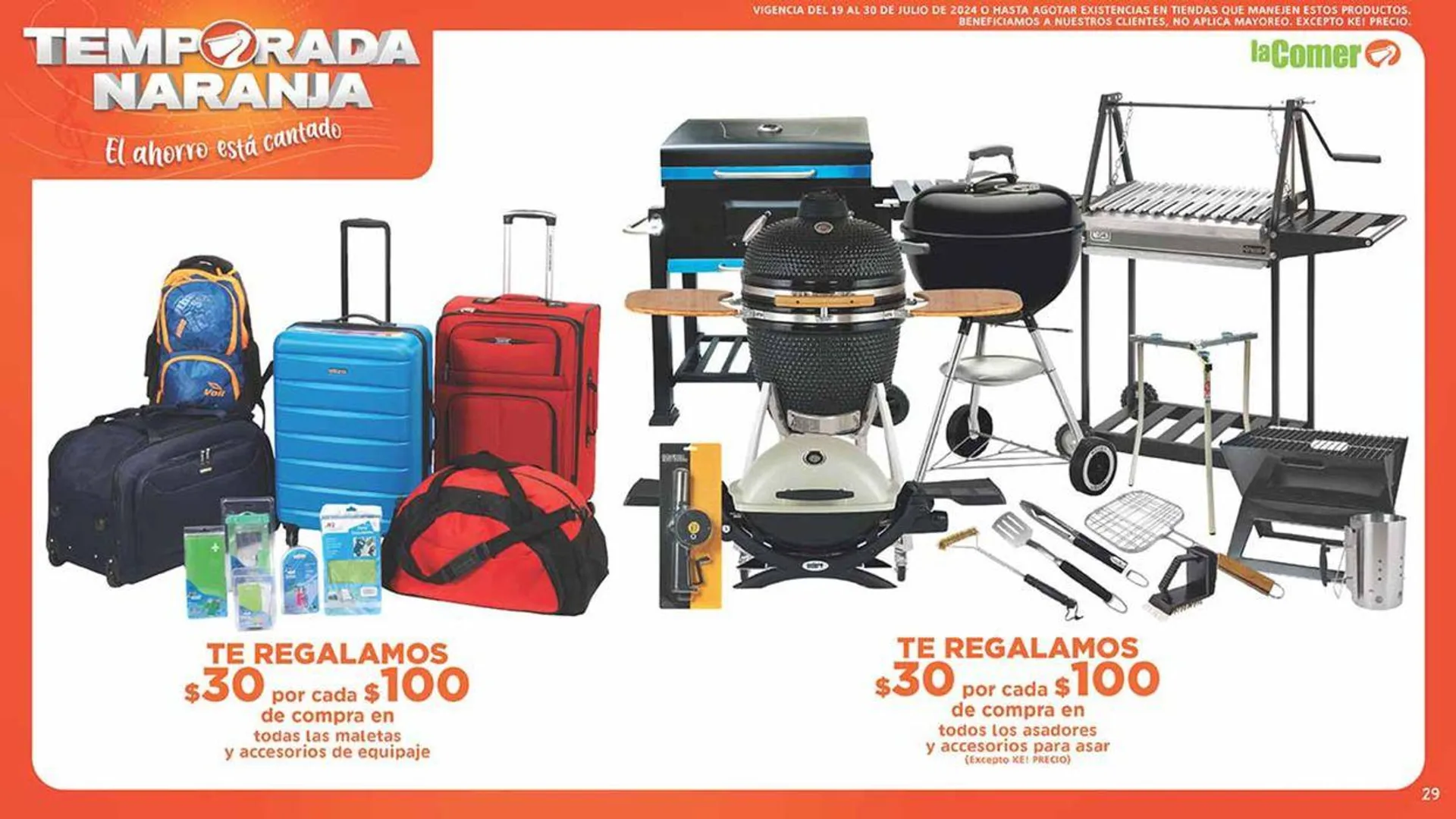 Catálogo de Temporada Naranja 19 de julio al 30 de julio 2024 - Pagina 29