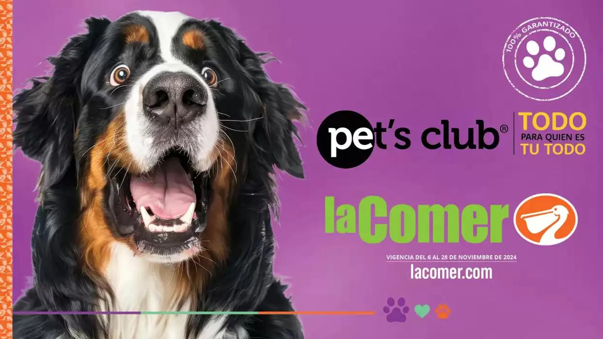 Pets Club La Comer - 1