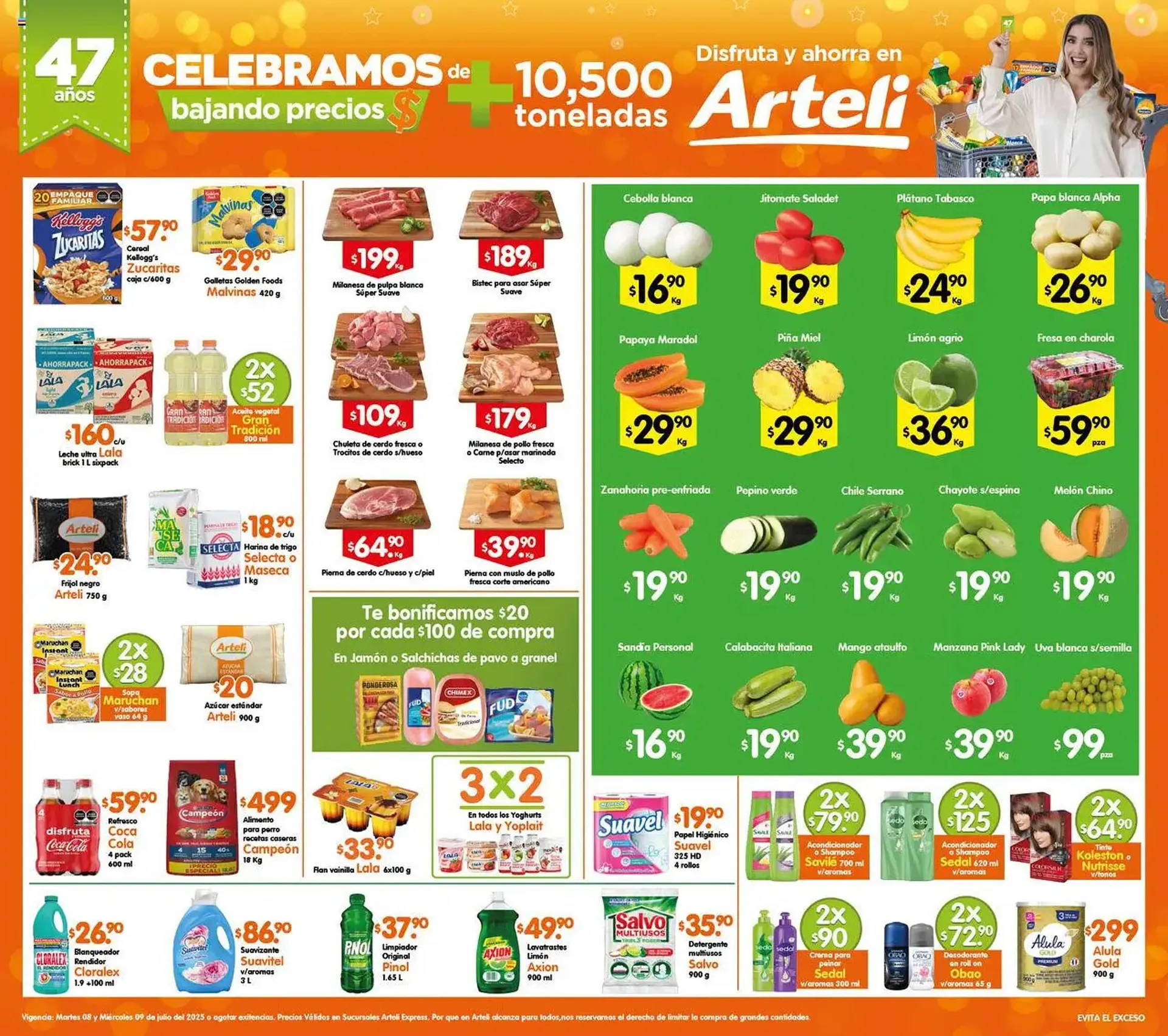 Catálogo Arteli - 1