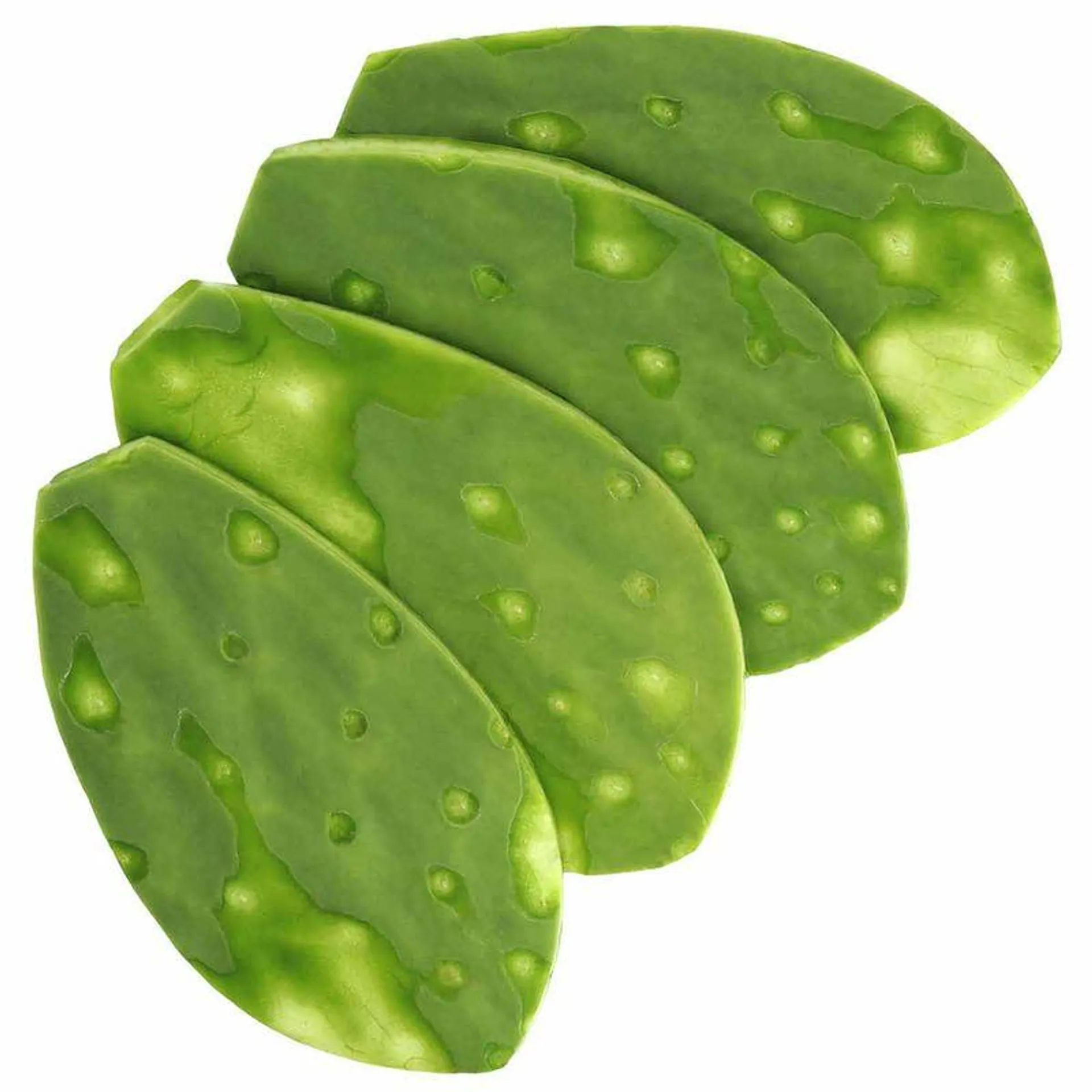 Nopal por kg