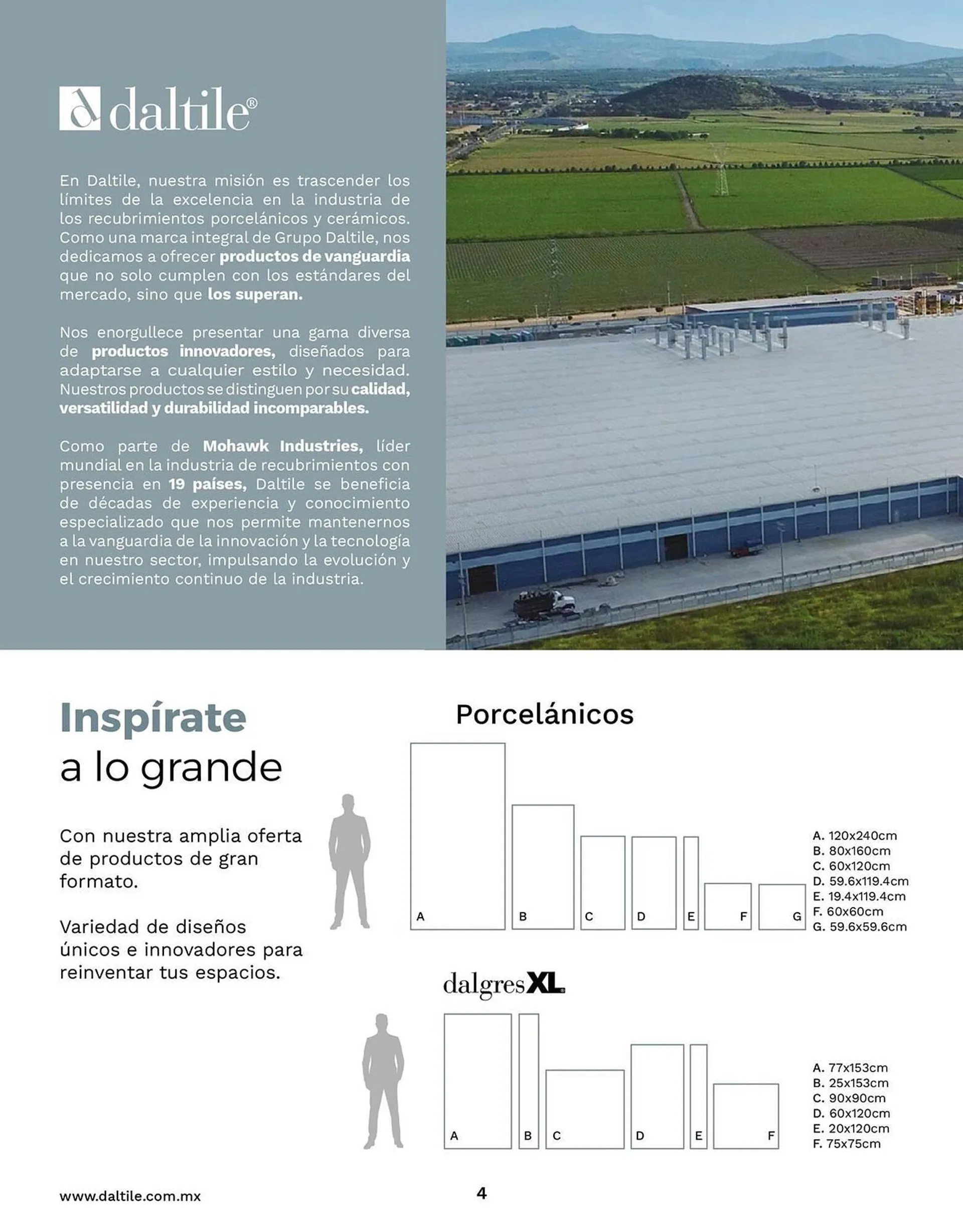 Catálogo de Catálogo Daltile 10 de enero al 31 de diciembre 2025 - Pagina 4