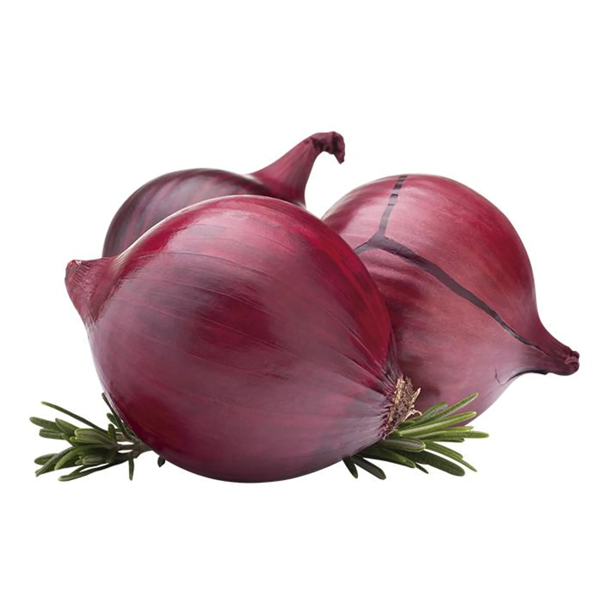 CEBOLLA ROJA