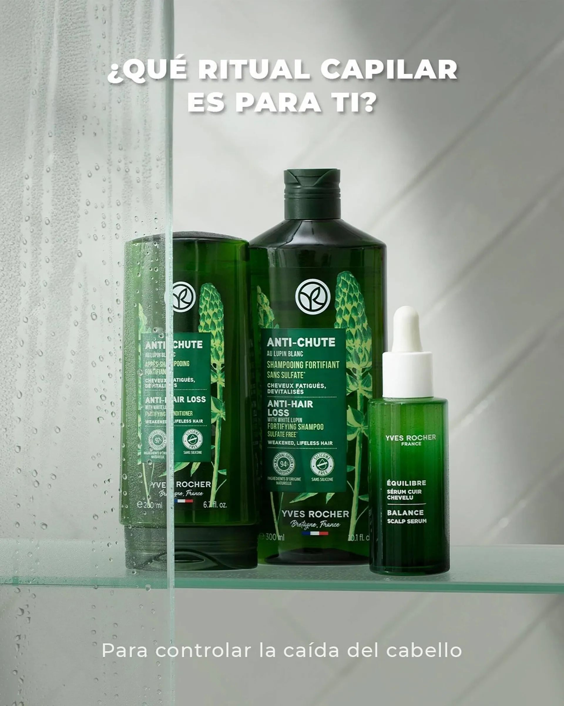 Catálogo Yves Rocher - 1