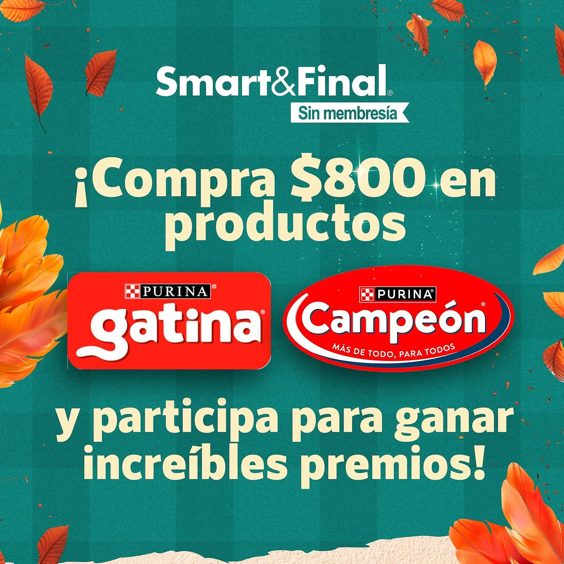 Catálogo Smart & Final - 1