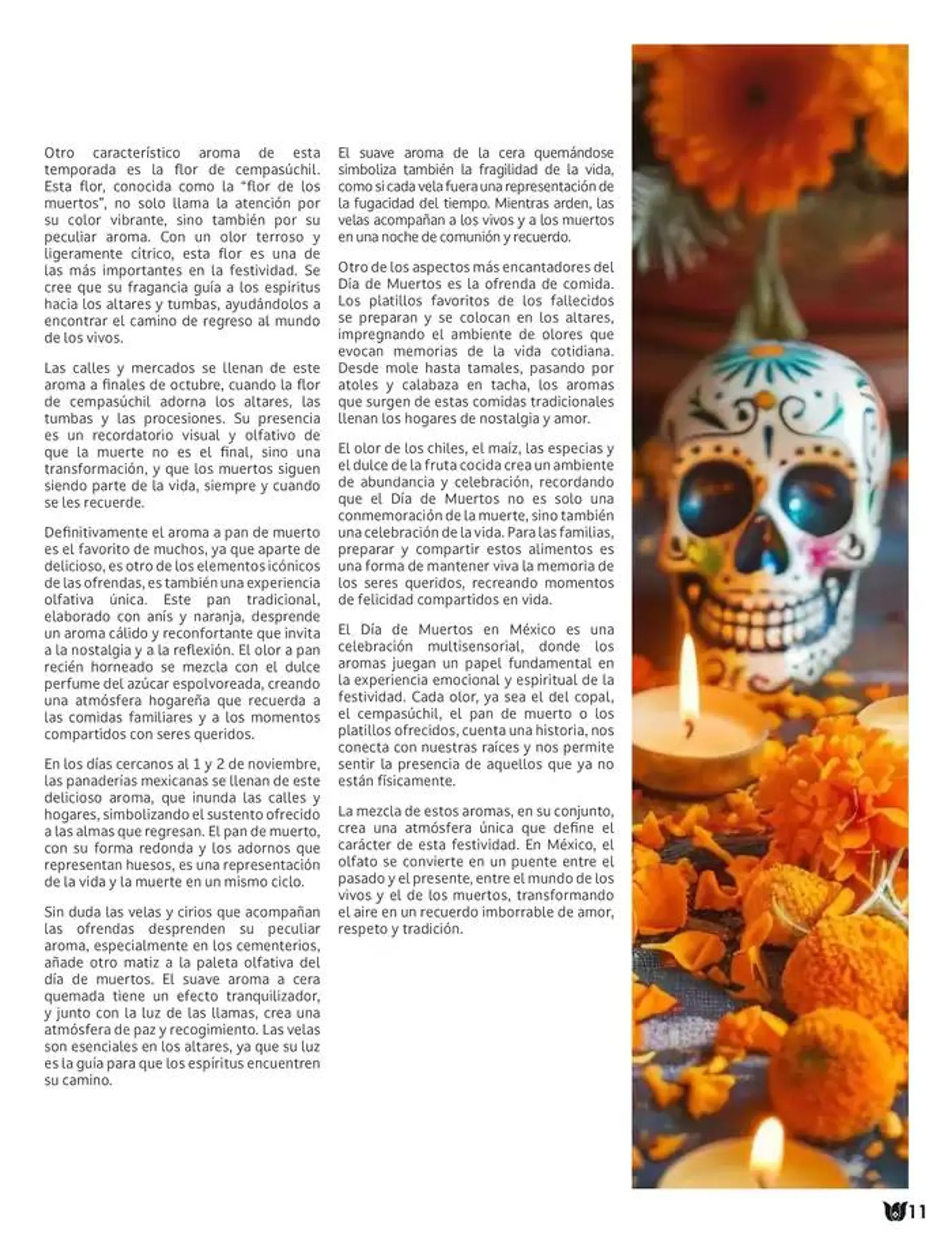 Catálogo de Fraiche Magazine 26 de noviembre al 2 de diciembre 2024 - Pagina 13