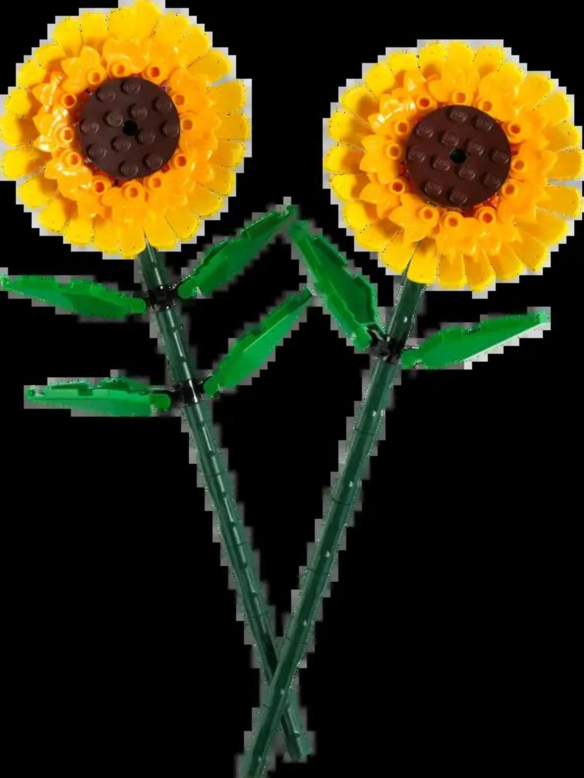 Girasoles